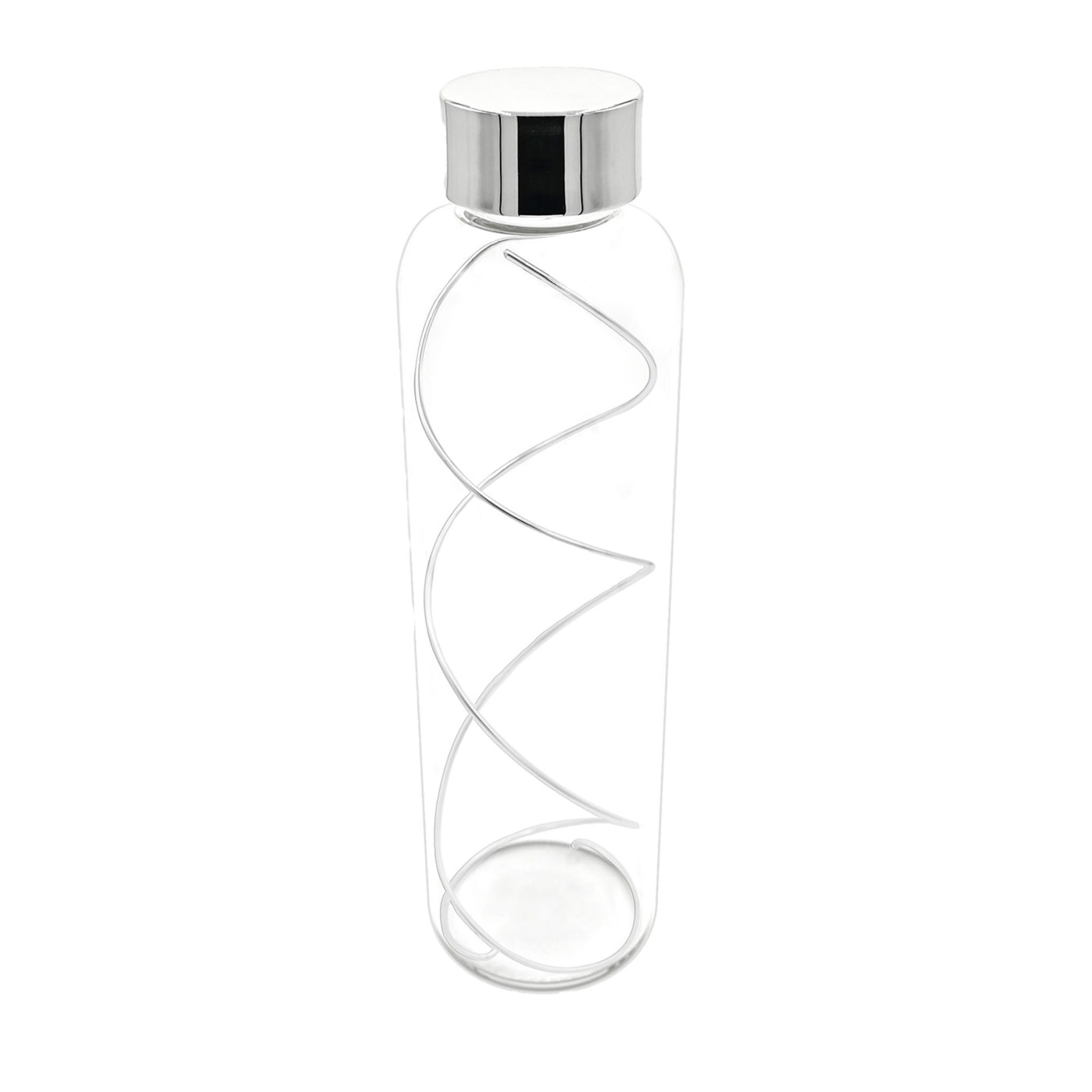 Bottiglia trasparente da 1 litro con spirale argentata - Vista principale