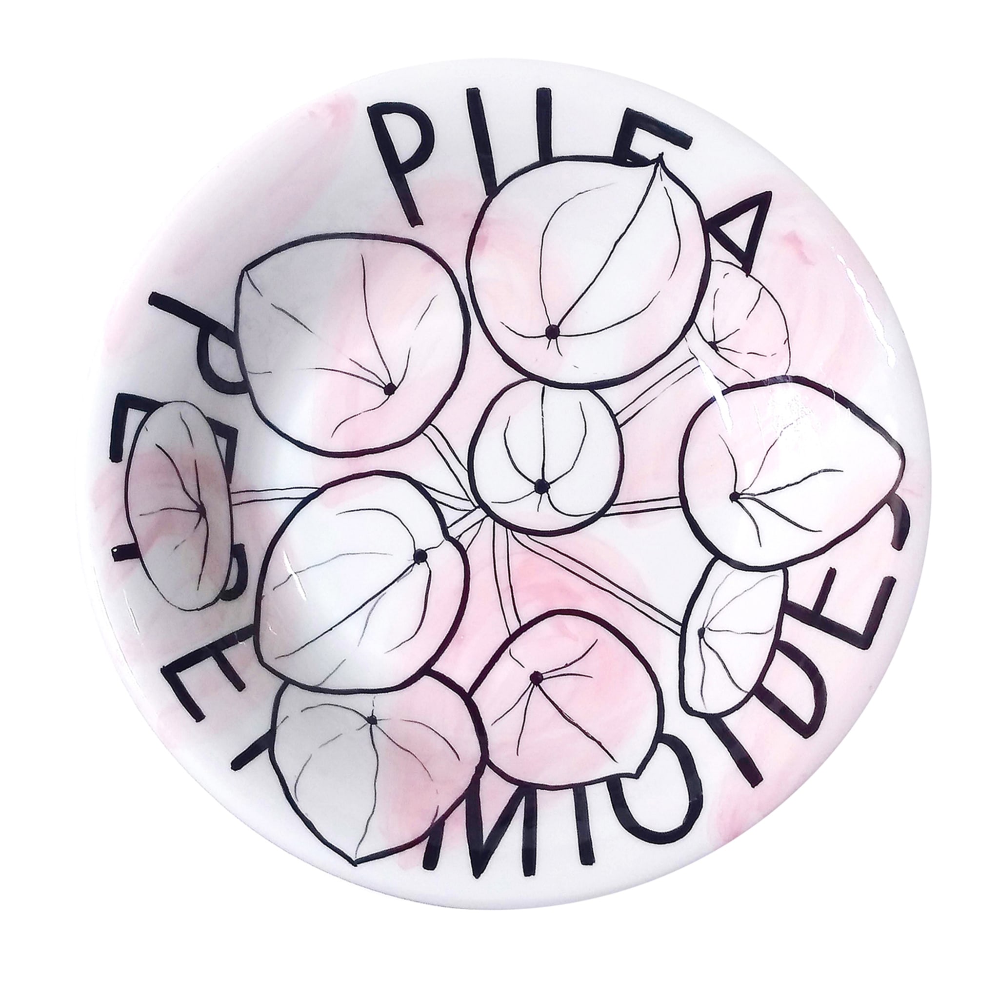 Pilea Peperomioides Decorative Plates - Main view
