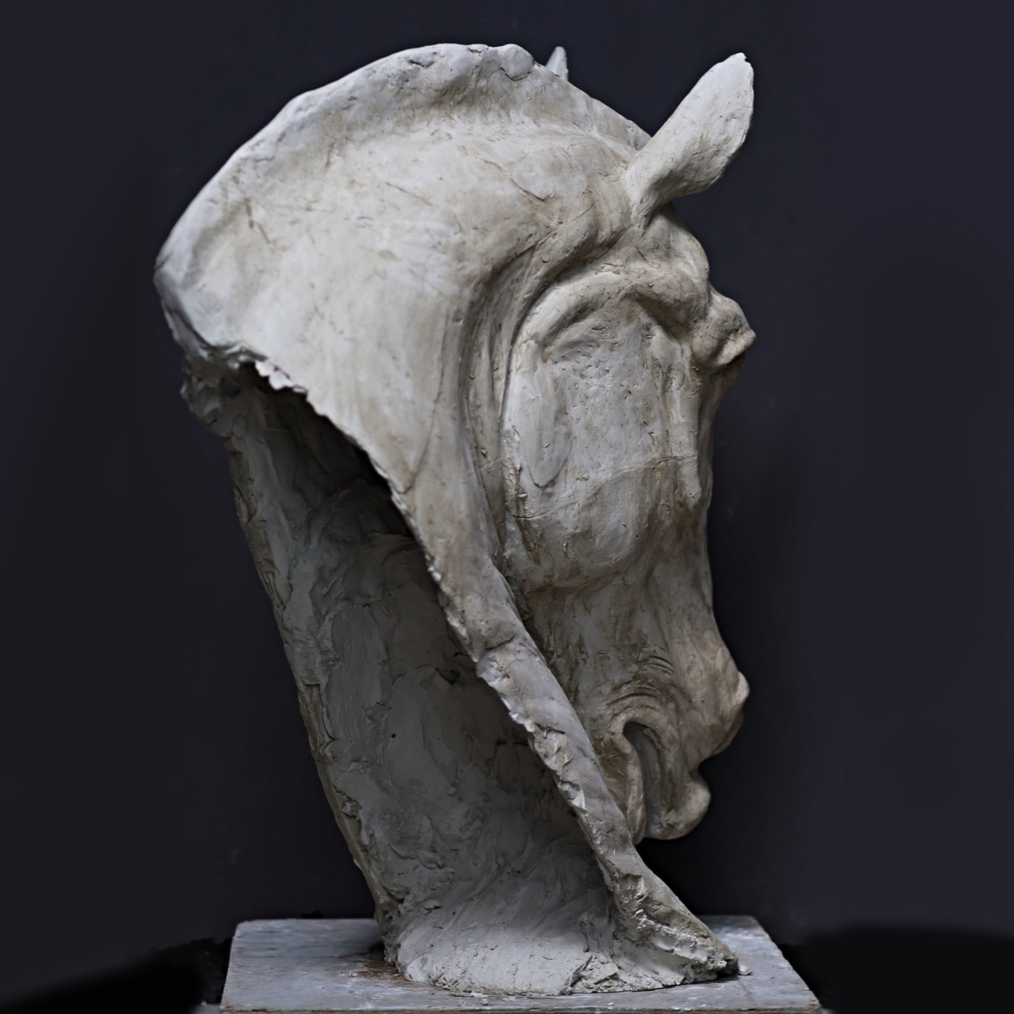 Horse's Head Sculpture - Alternative view 3