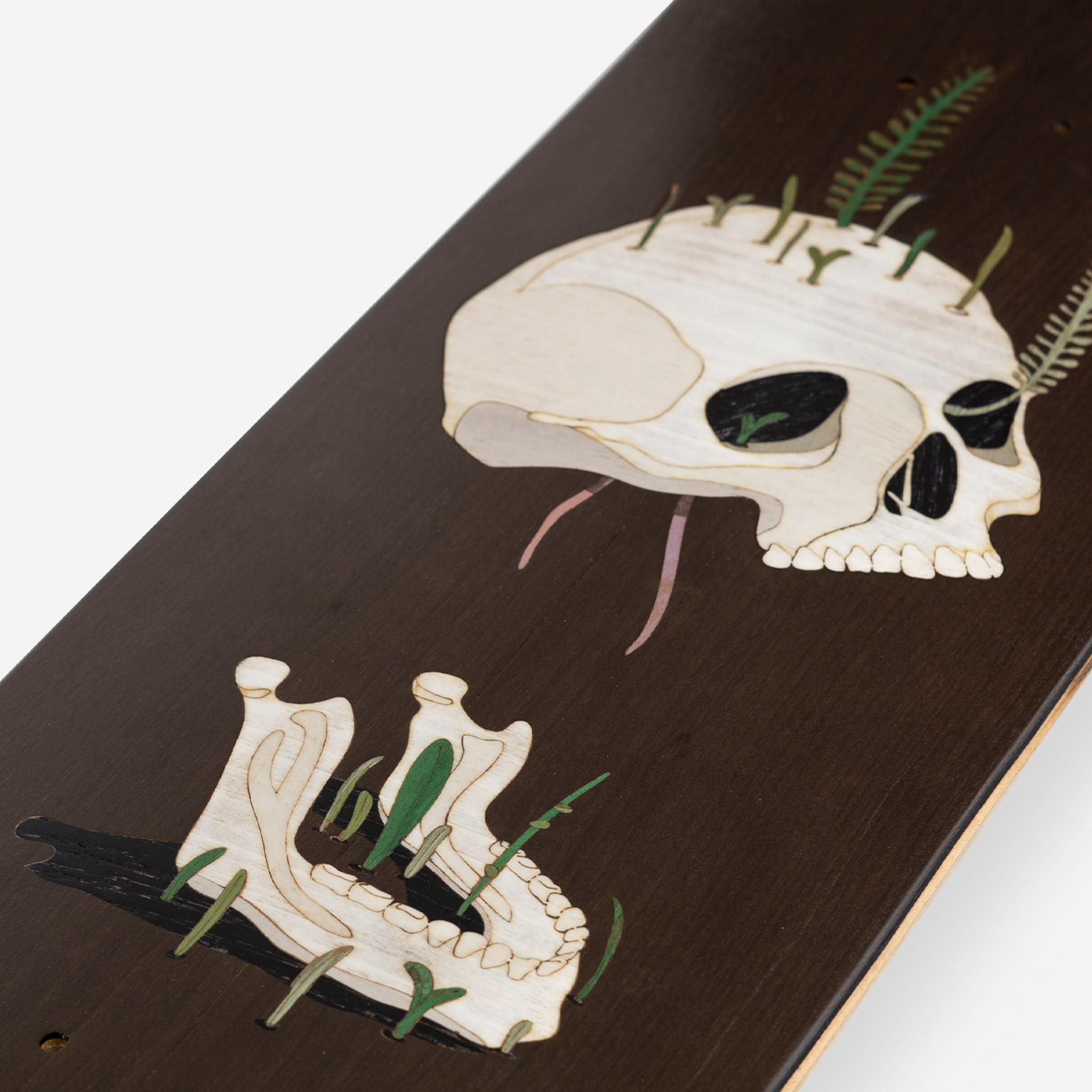 Old Skull Brown Decorative Skateboard - Alternative view 1
