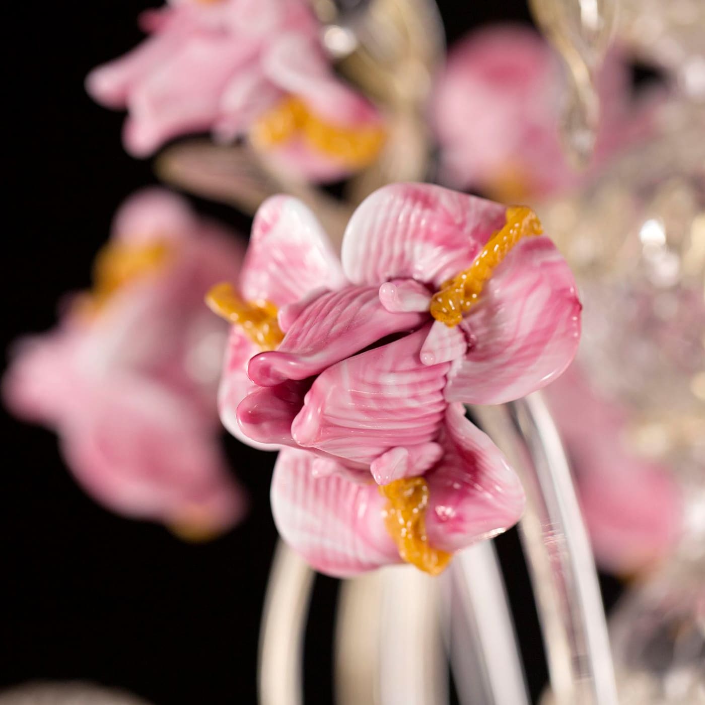 Iris Pink 6-Light Chandelier - Multiforme