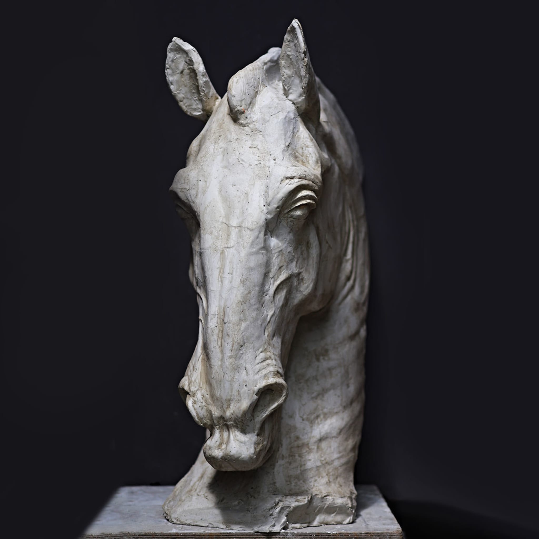 Horse's Head Sculpture - Alternative view 4
