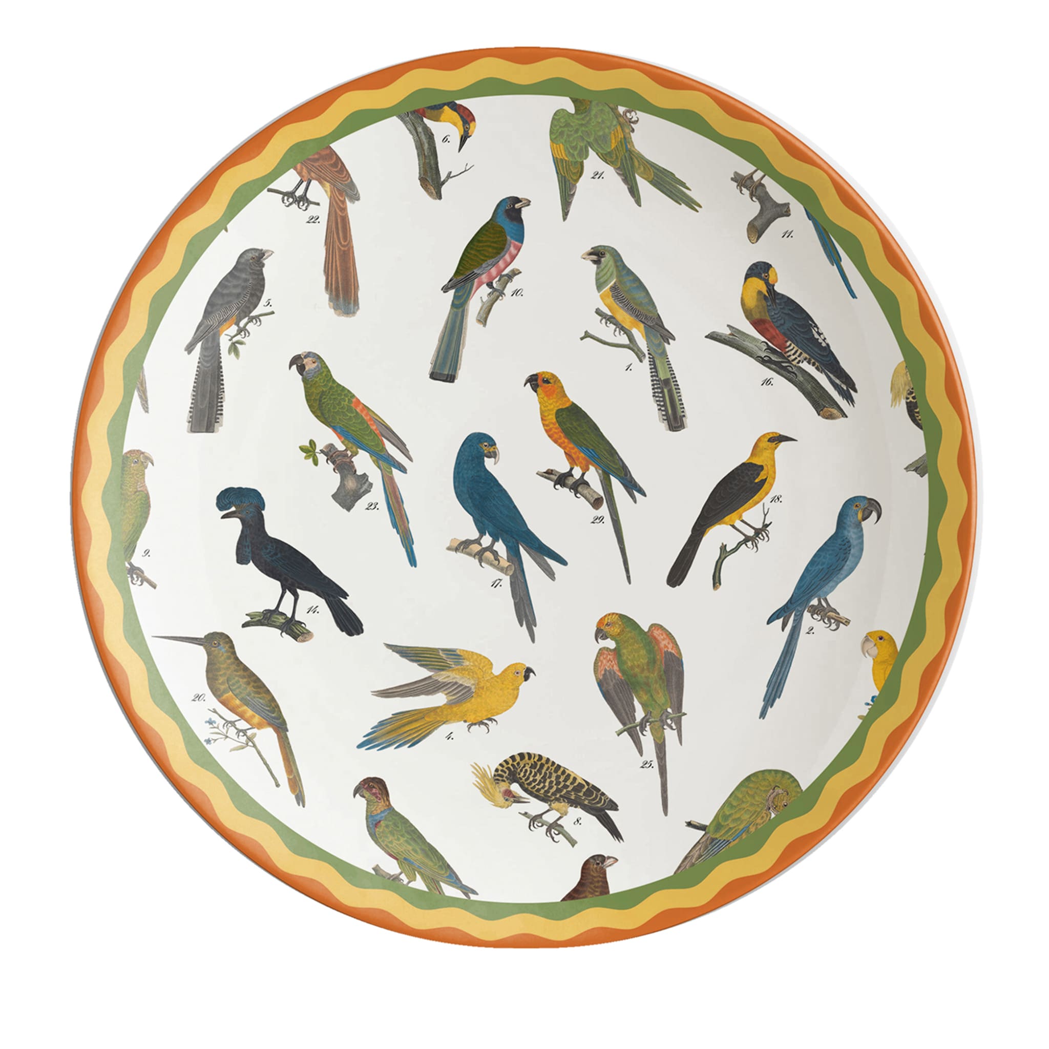 Cabinet de Curiosités - Assiette plate aux oiseaux - Vue principale