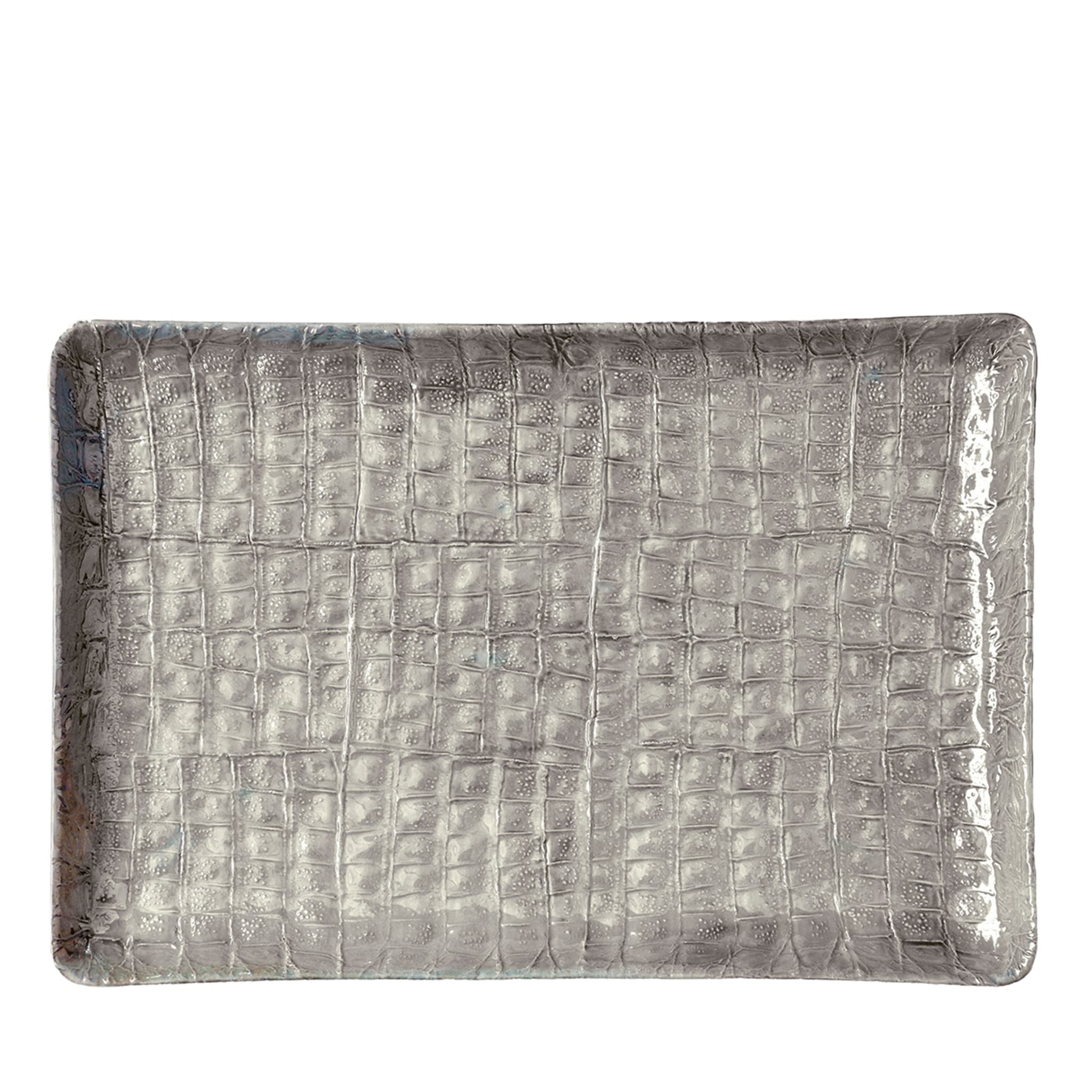 COCCO RECTANGULAR TRAY - SILVER - Main view