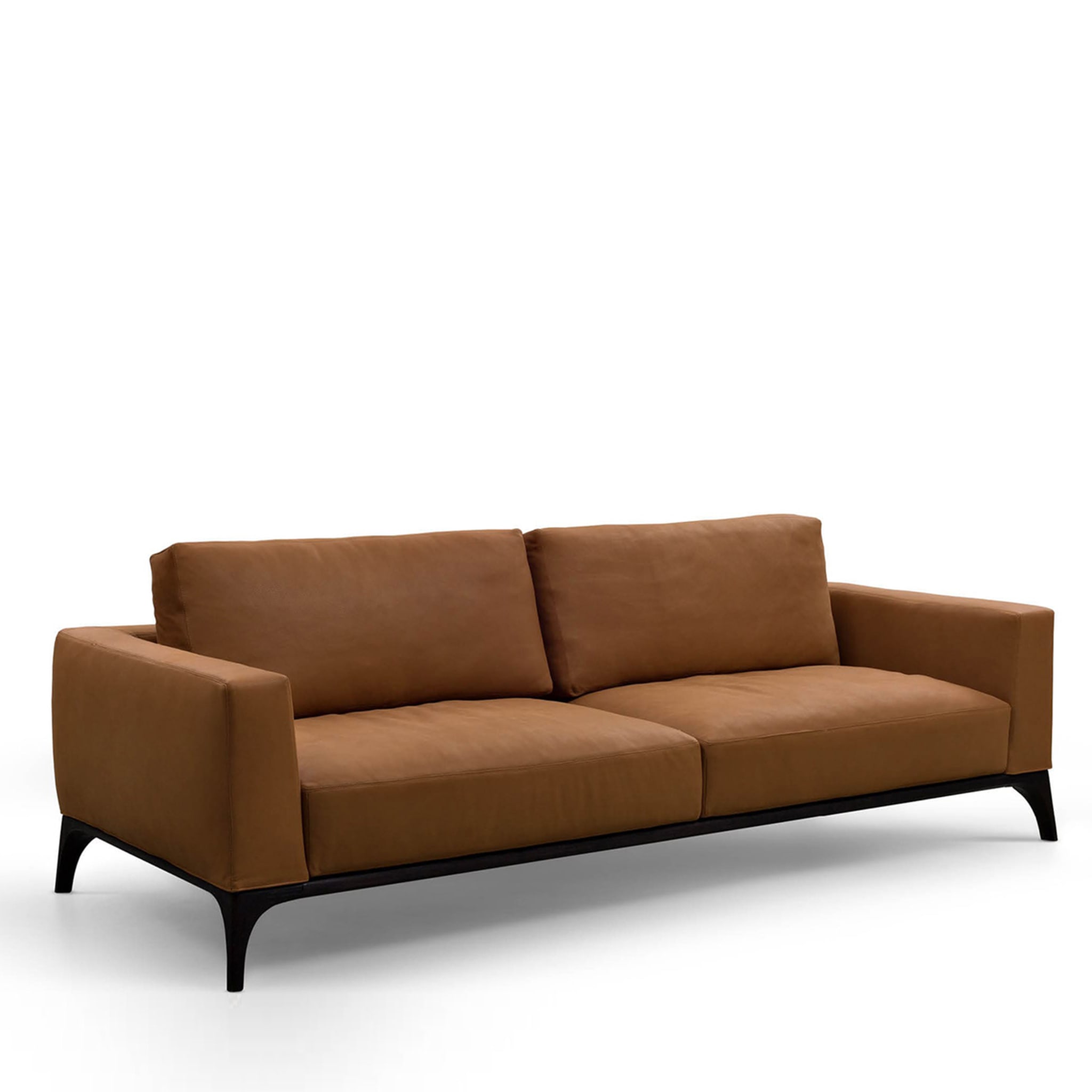 Milano Cookie-Brown Leather Sofa by Giuseppe Manzoni - Alternative view 1