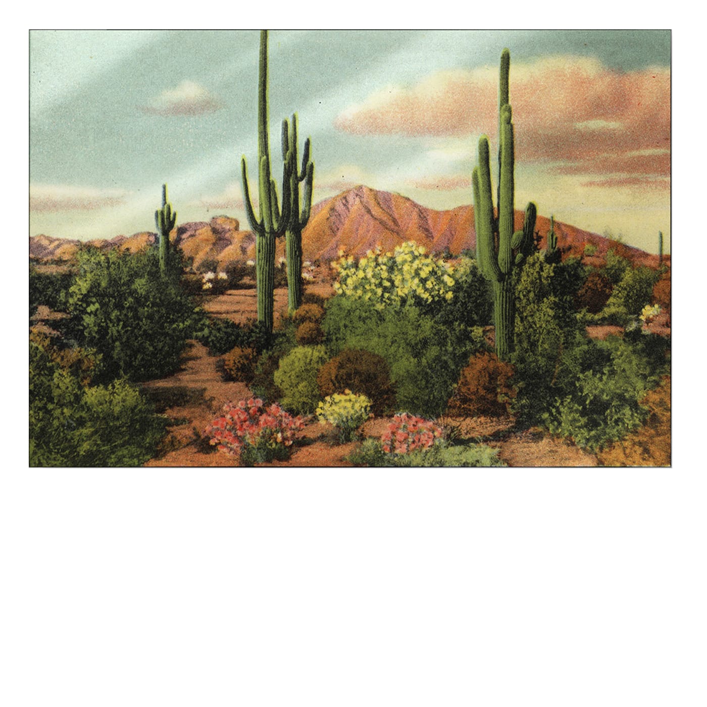 Phoenix, Arizona Horizontal Lumaframe® Decorative Panel - NC Design