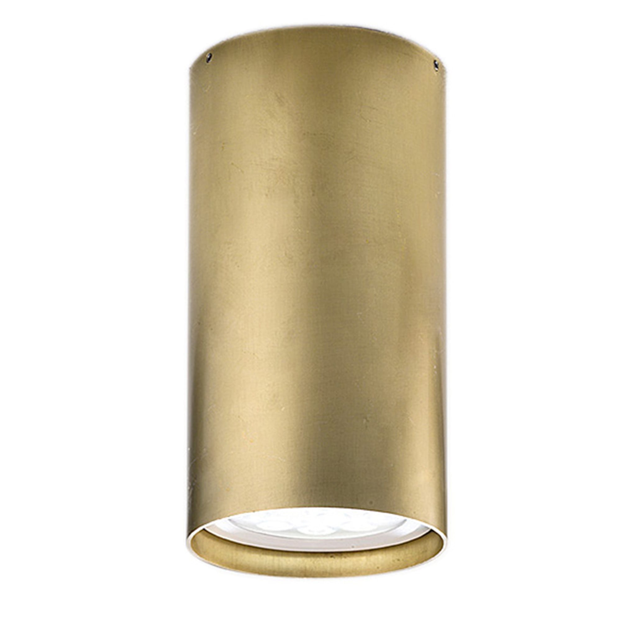 Girasoli Natural Brass Ceiling Lamp - Main view