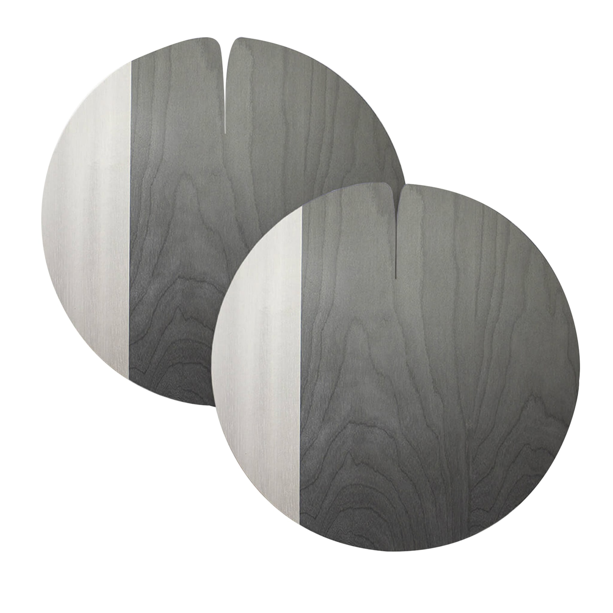Nelumbo Medium Gray Set de 4 sets de table - Vue principale