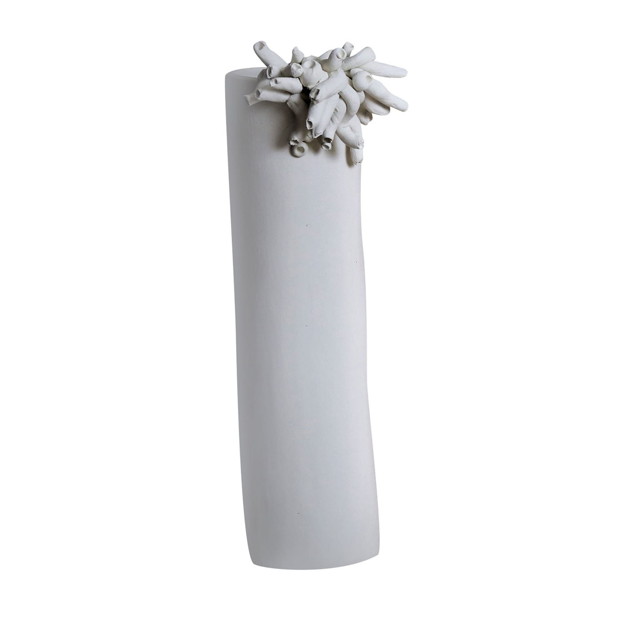 Vase Anemoni blanc mat - Vue principale