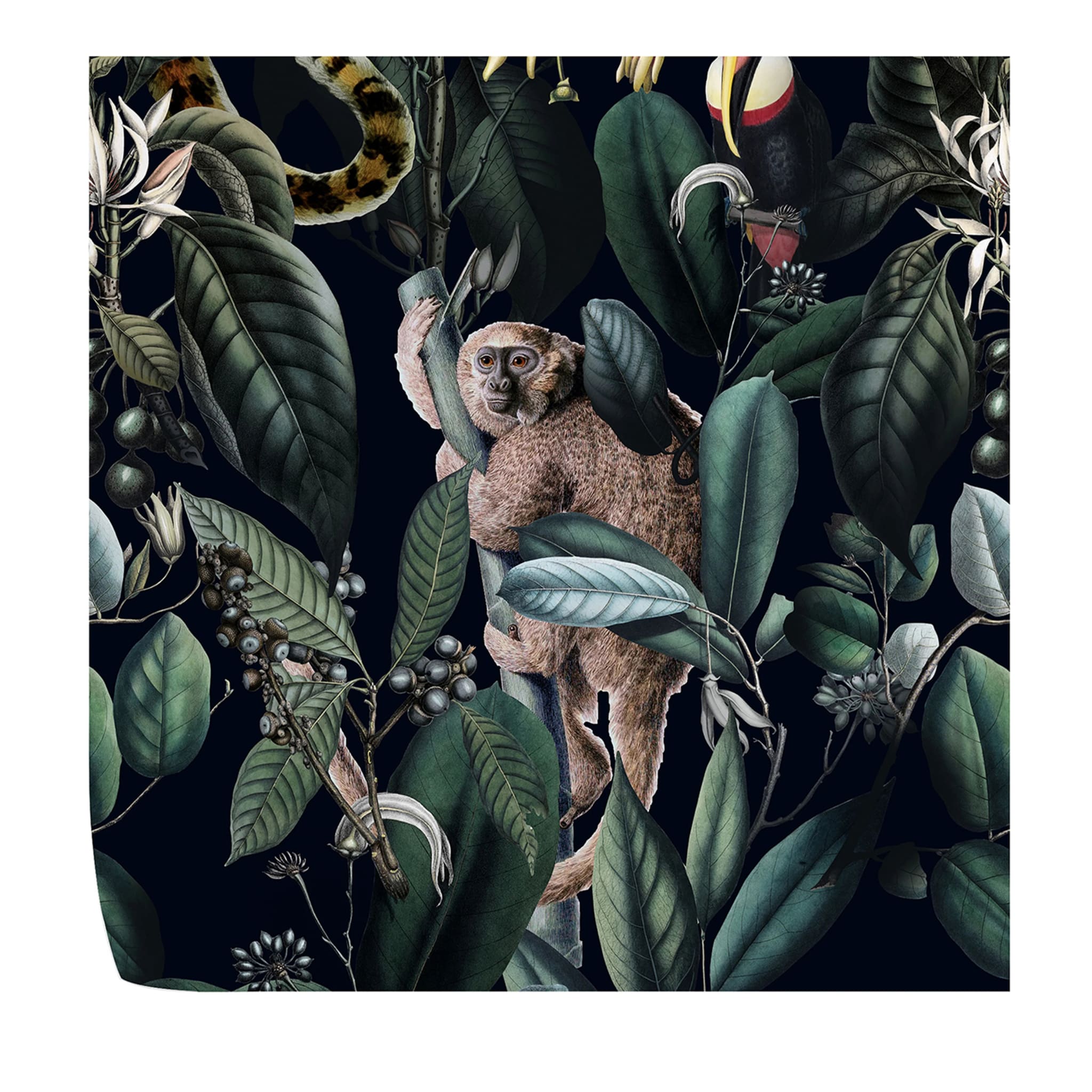 Fond d'écran jungle tropicale sombre - Vue principale