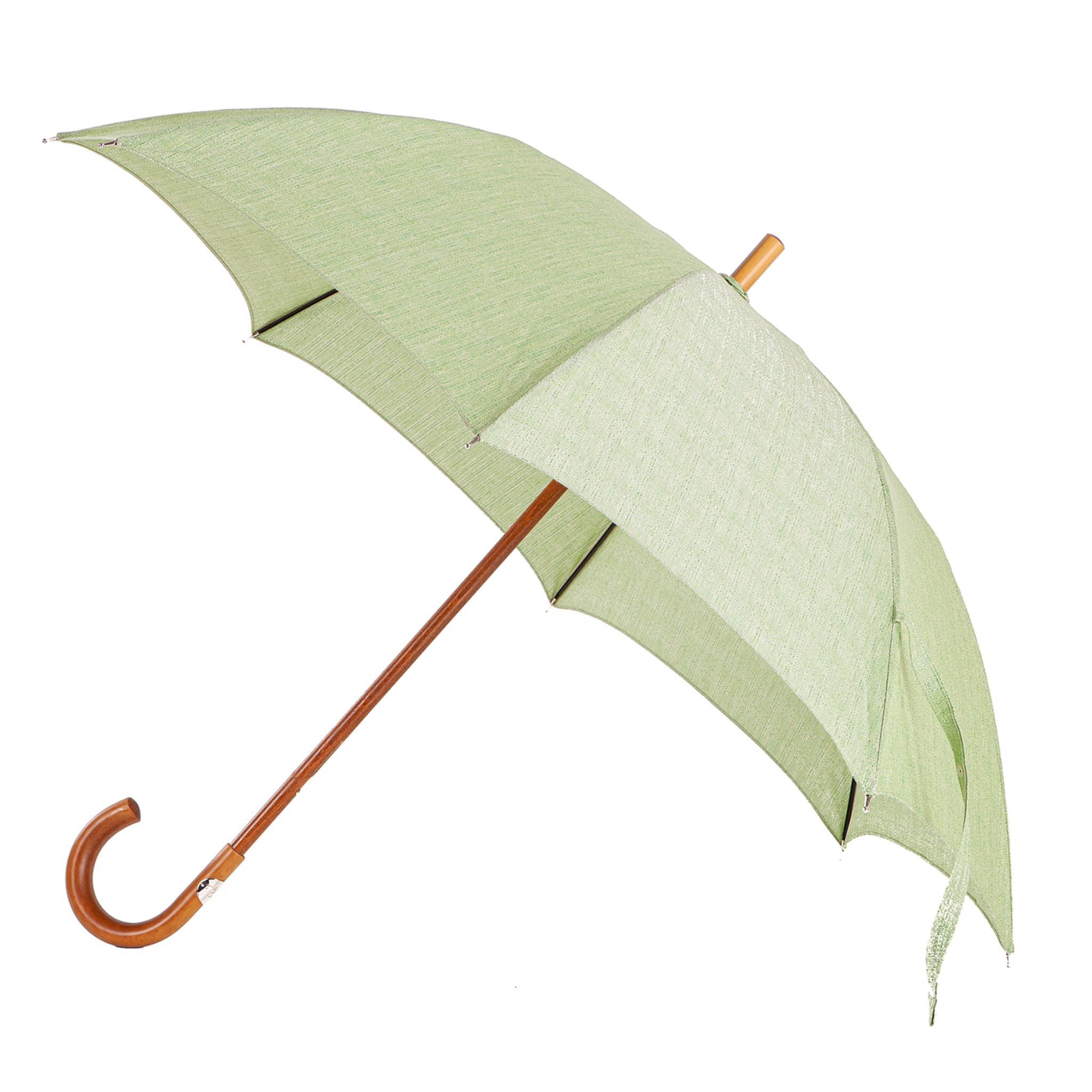 Grüner Malakka-Regenschirm - Hauptansicht