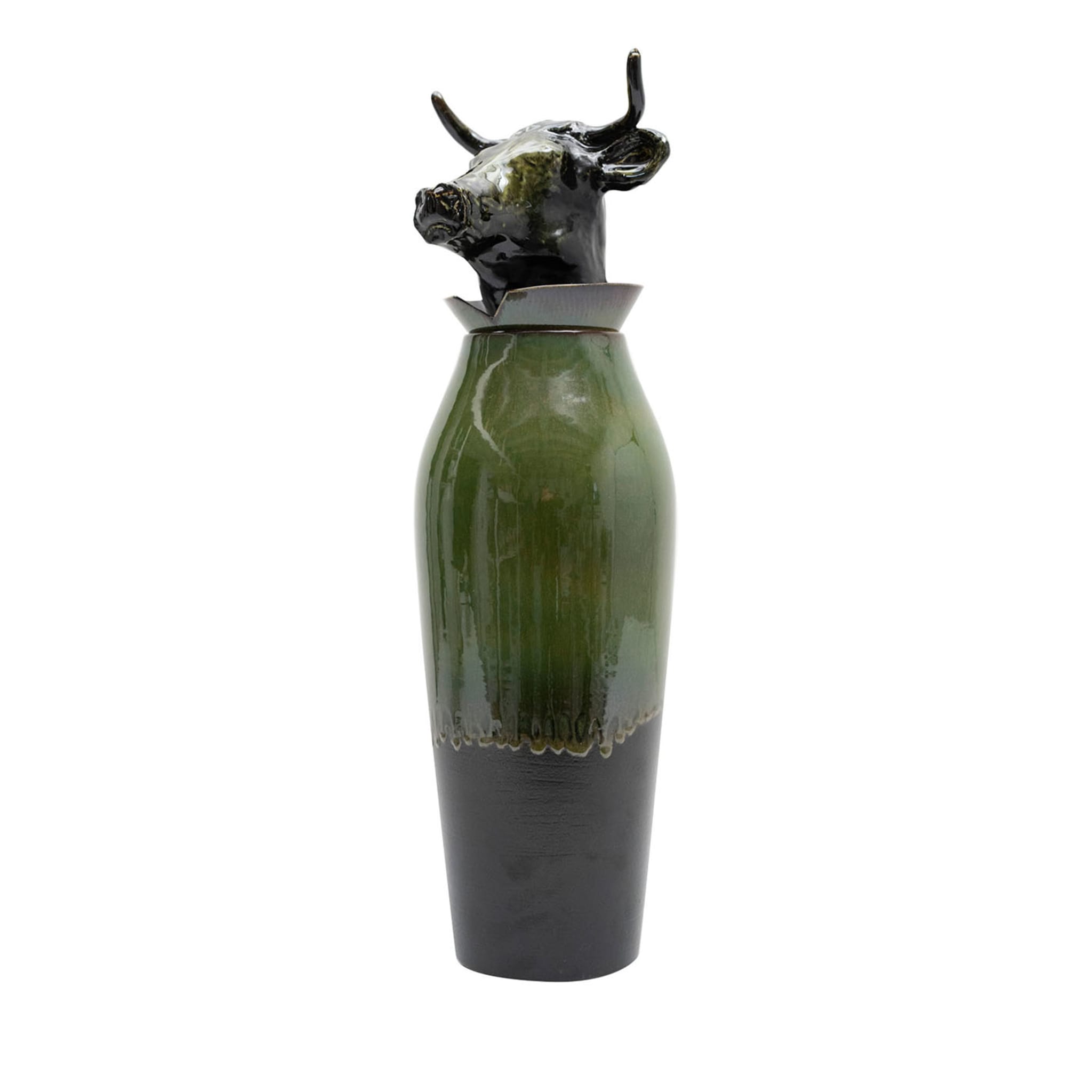 Canopo Toro Vase en L noir et vert - Vue principale