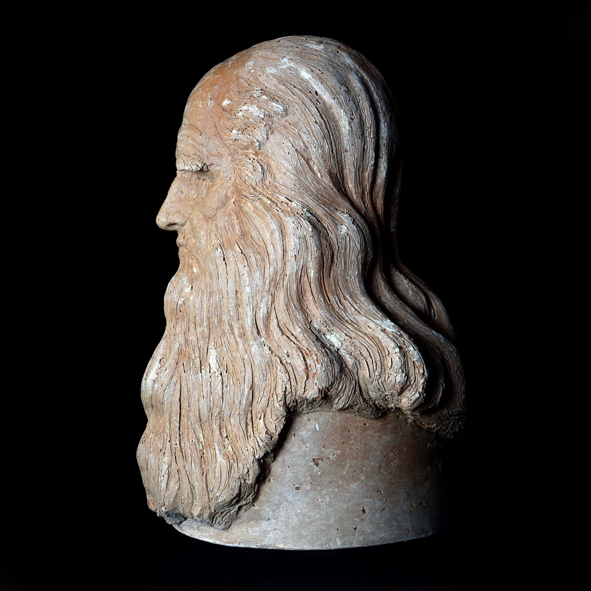 Leonardo da Vinci Bust - Alternative view 3
