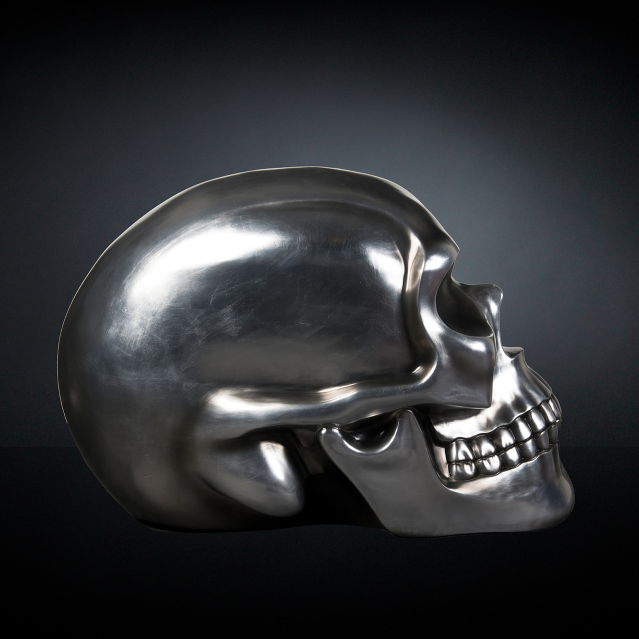 Sculpture de crâne noir et argent - Vue alternative 2