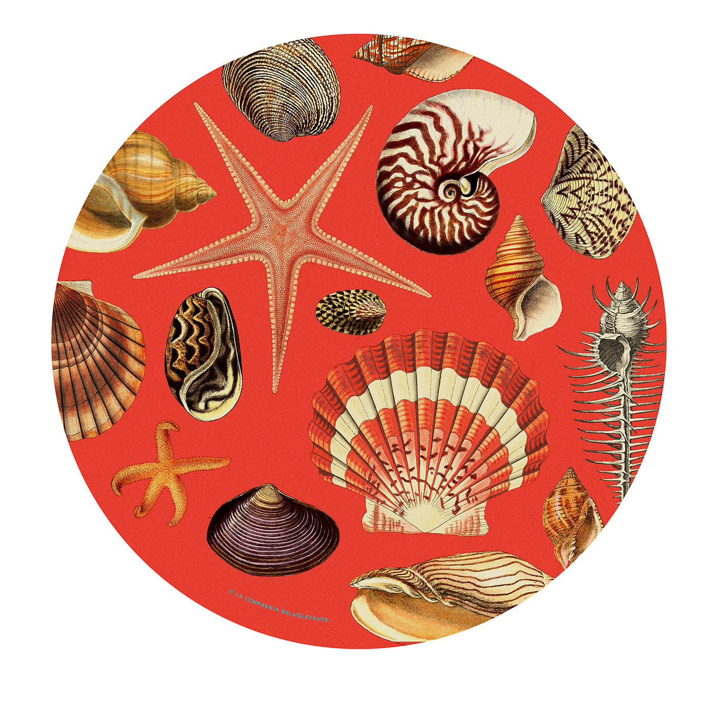Seashells Set of 2 Red Placemats - Compagnia dell'Elefante