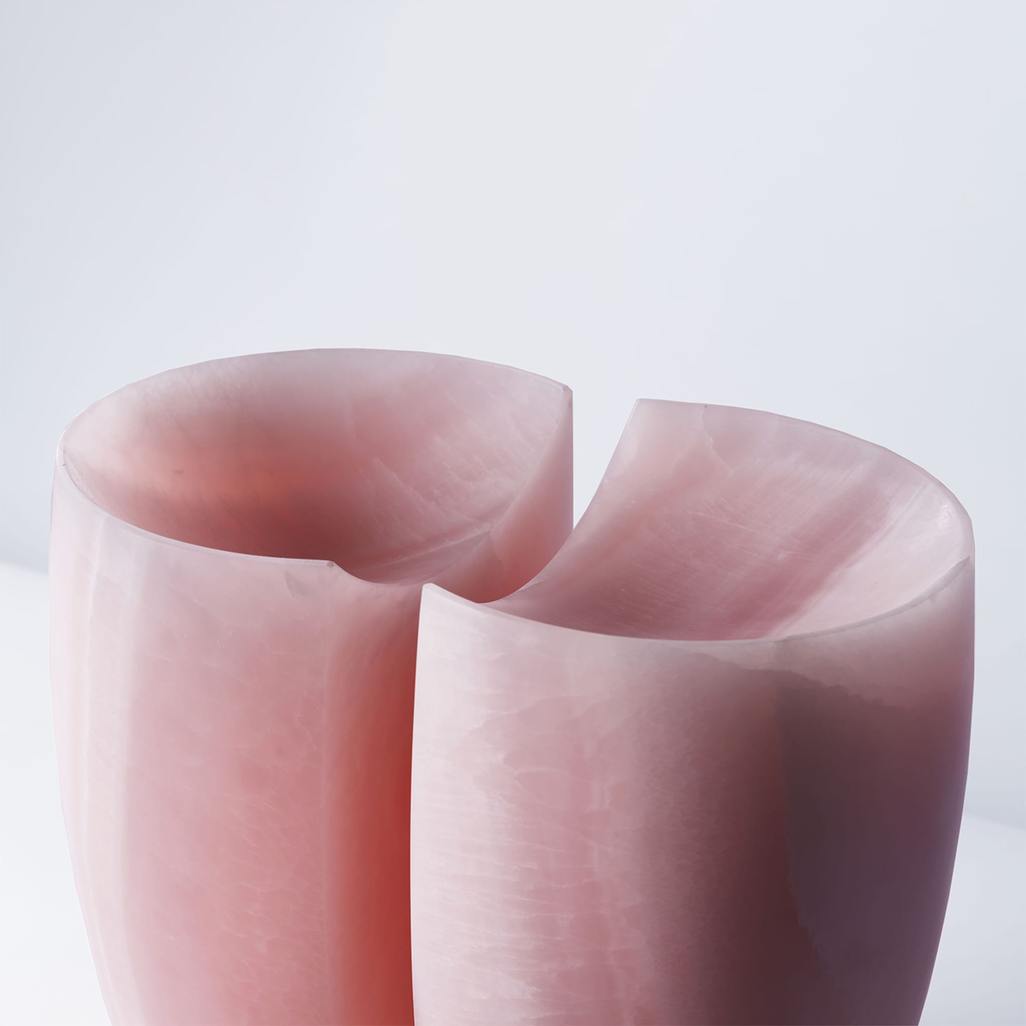 Past and Present Pink Vase - Alternative view 1