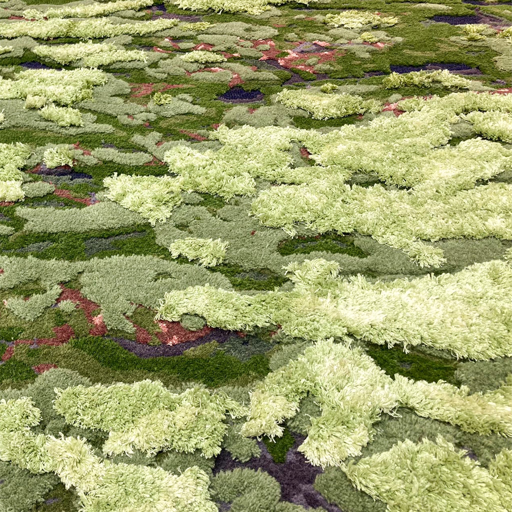 Misteriosa alfombra de musgo - Vista alternativa 1