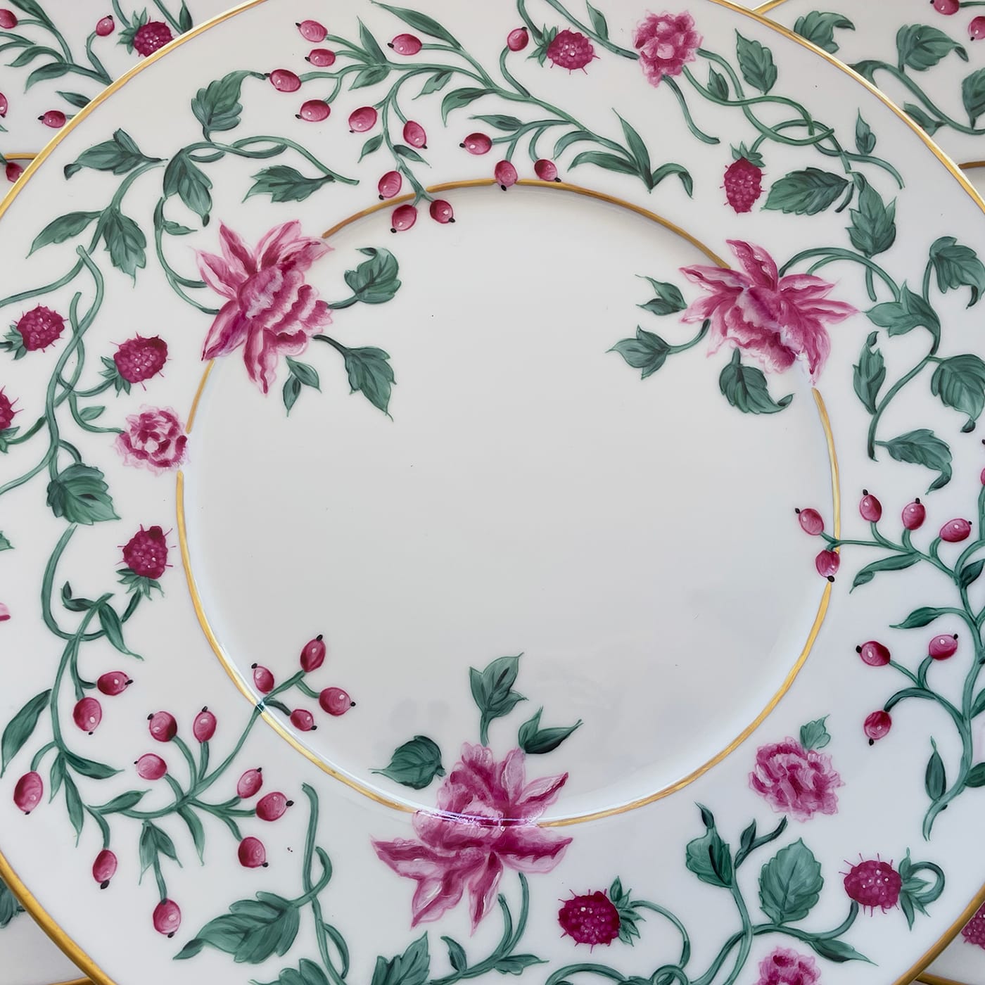 SET OF 6 ROSE BERRY DINNER PLATES - Vio's Cooking