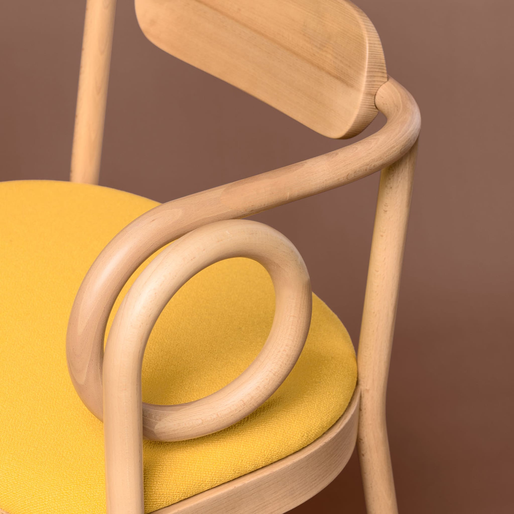 Loop Dining Chair by India Mahdavi - Alternative view 4