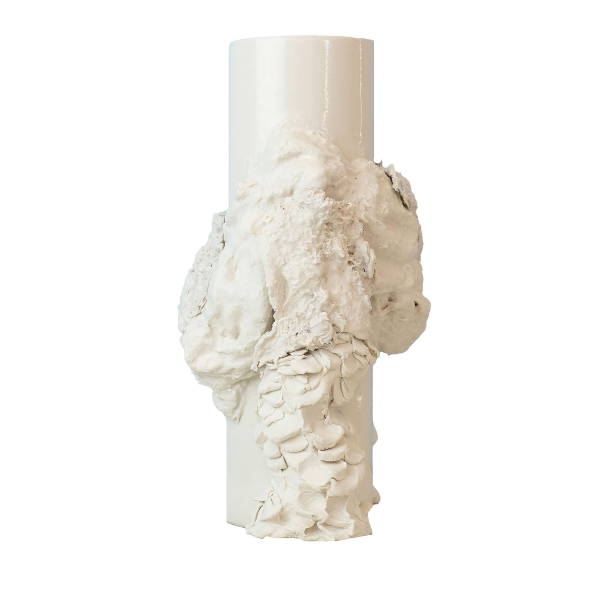 Piccolo vaso con spugne e licheni di Patricia Urquiola - Vista principale