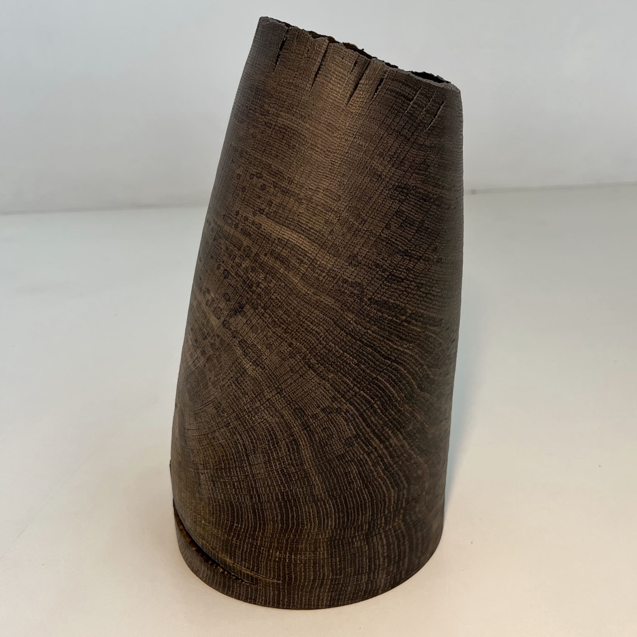 Fossil Oak Hollow Vase #2 - Alternative view 4