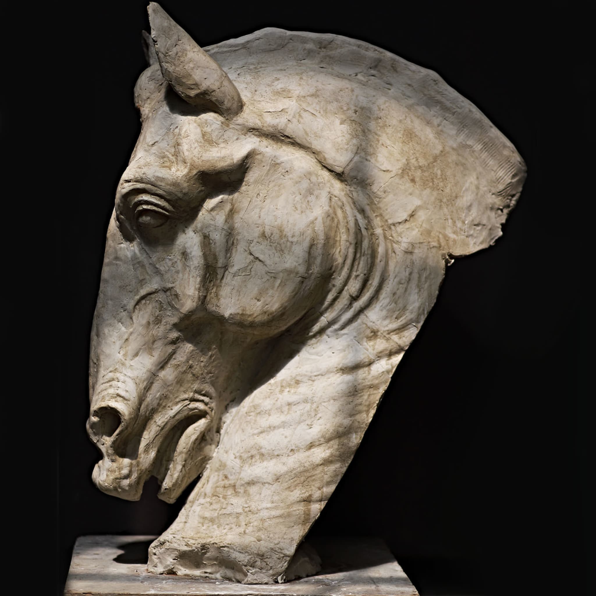 Horse's Head Sculpture - Alternative view 1