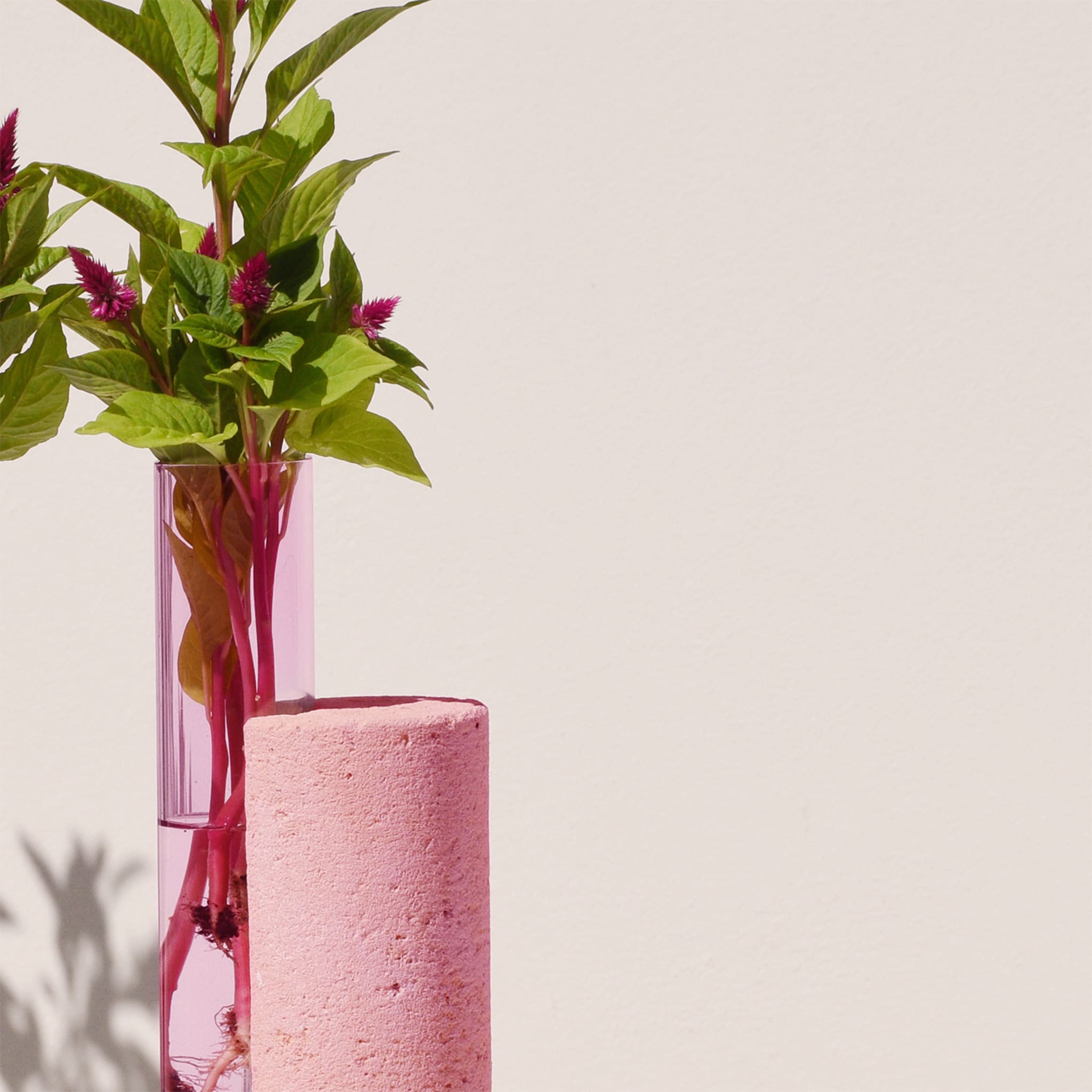 Cochlea dello Sviluppo Pink Vase - Alternative view 1
