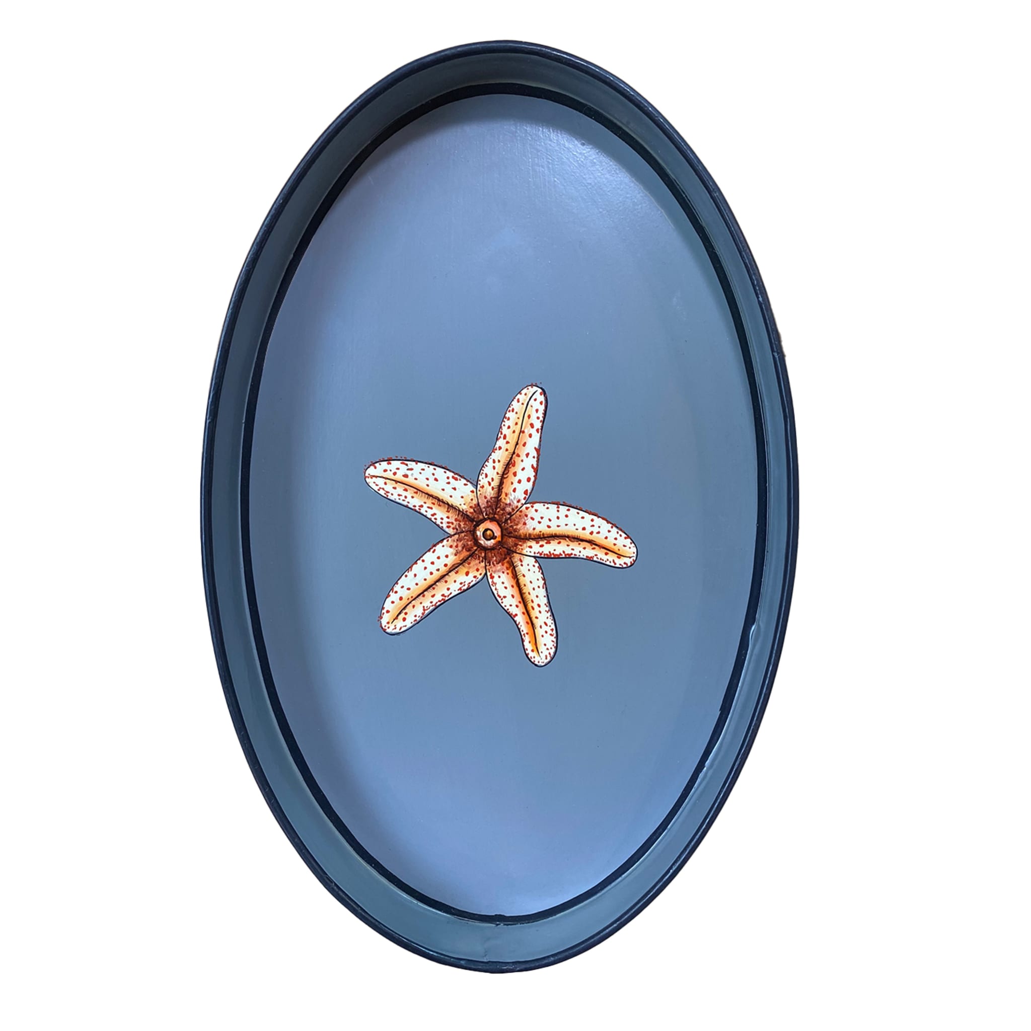 Bandeja de hierro con estrella de mar - Vista principal
