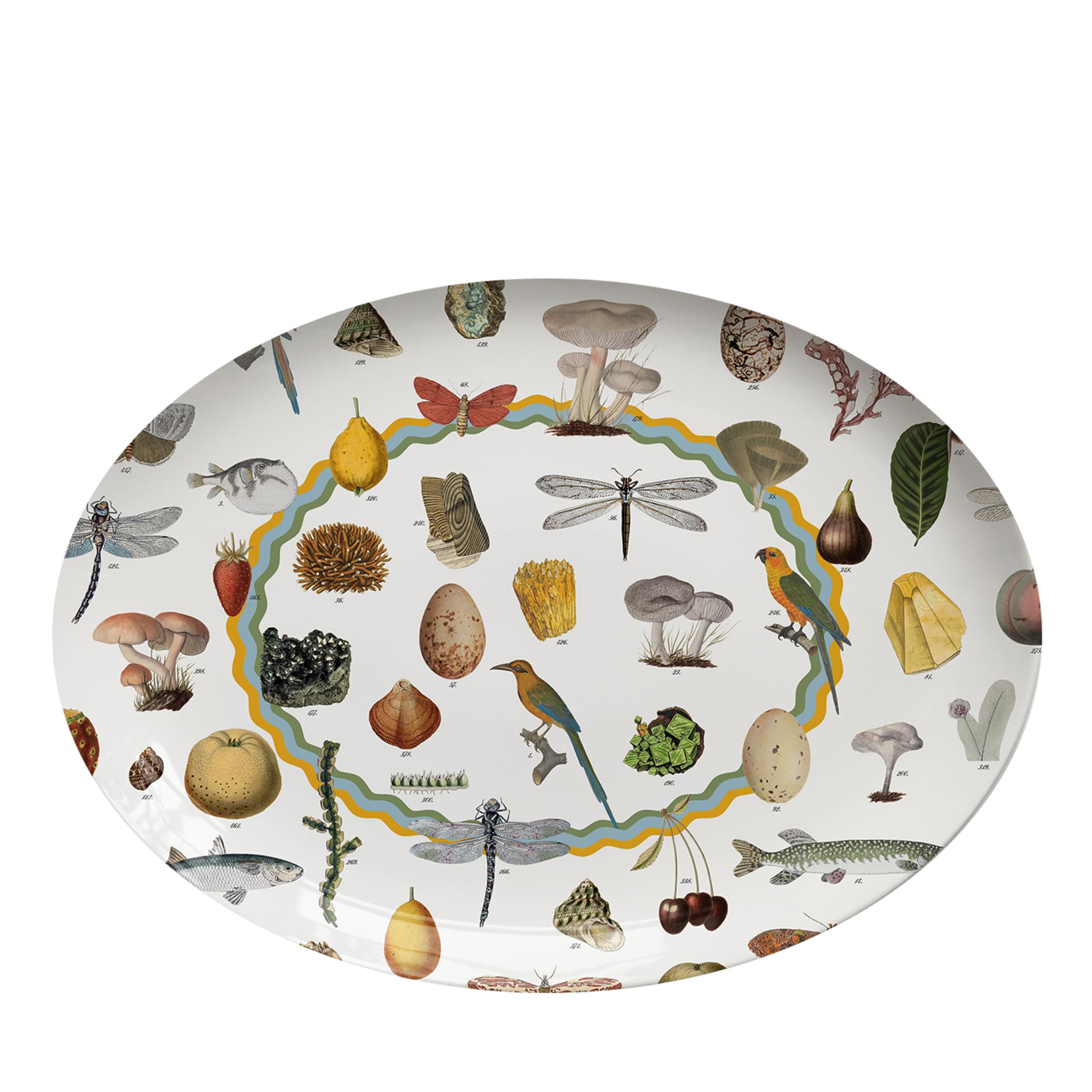 Cabinet De Curiosités Oval Porcelain Platter - Main view