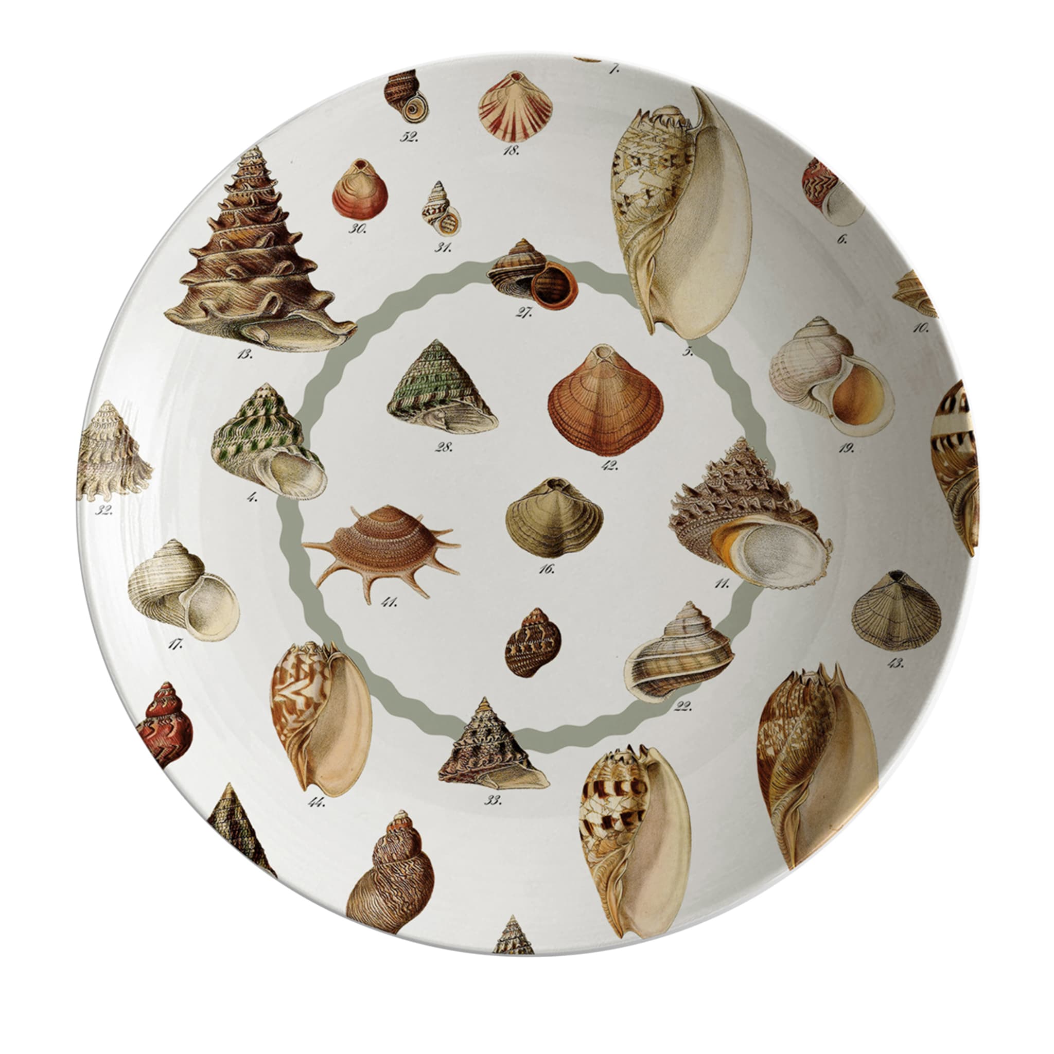 Plato sopero Cabinet de Curiosités Shells - Vista principal