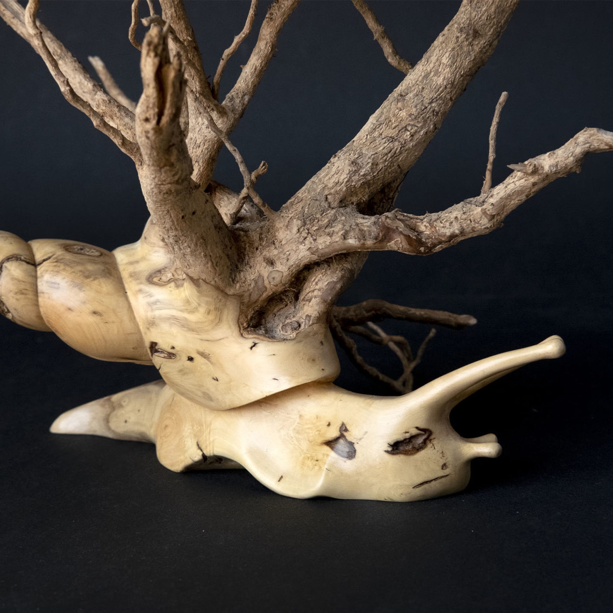 Branched Snail sculpture - Alternative view 2