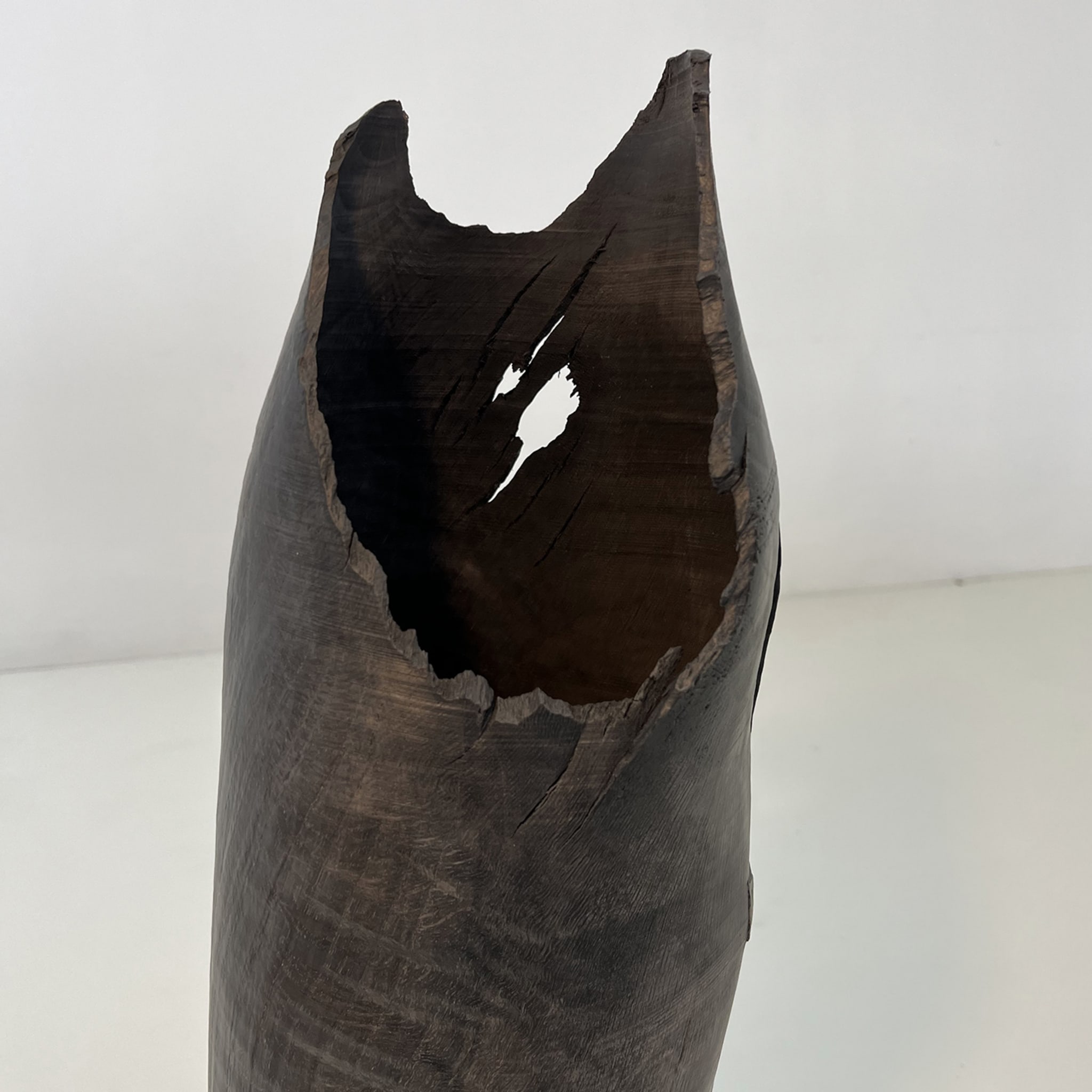 Fossil Oak Hollow Vase #1 - Alternative view 2