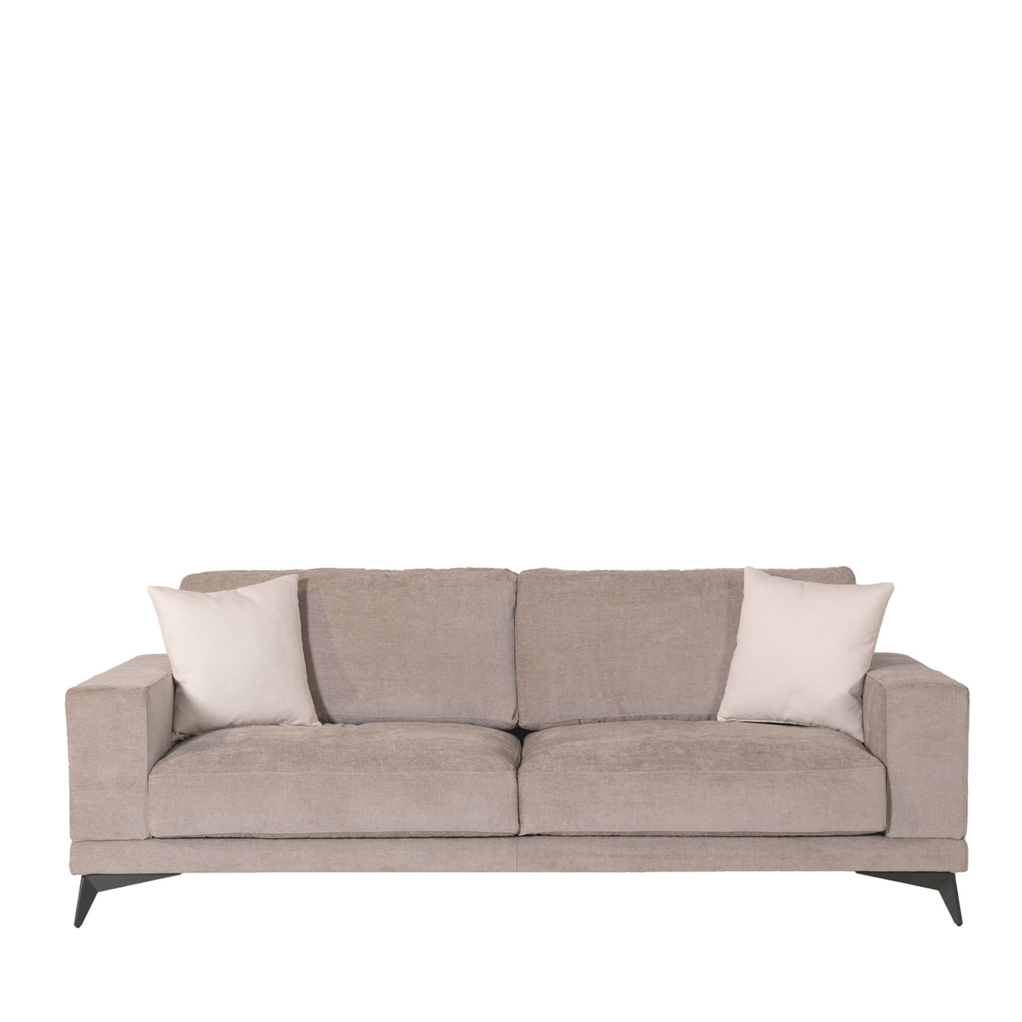 Tesla 2 Seater Sofa by Marco and Giulio Mantellassi - Main view