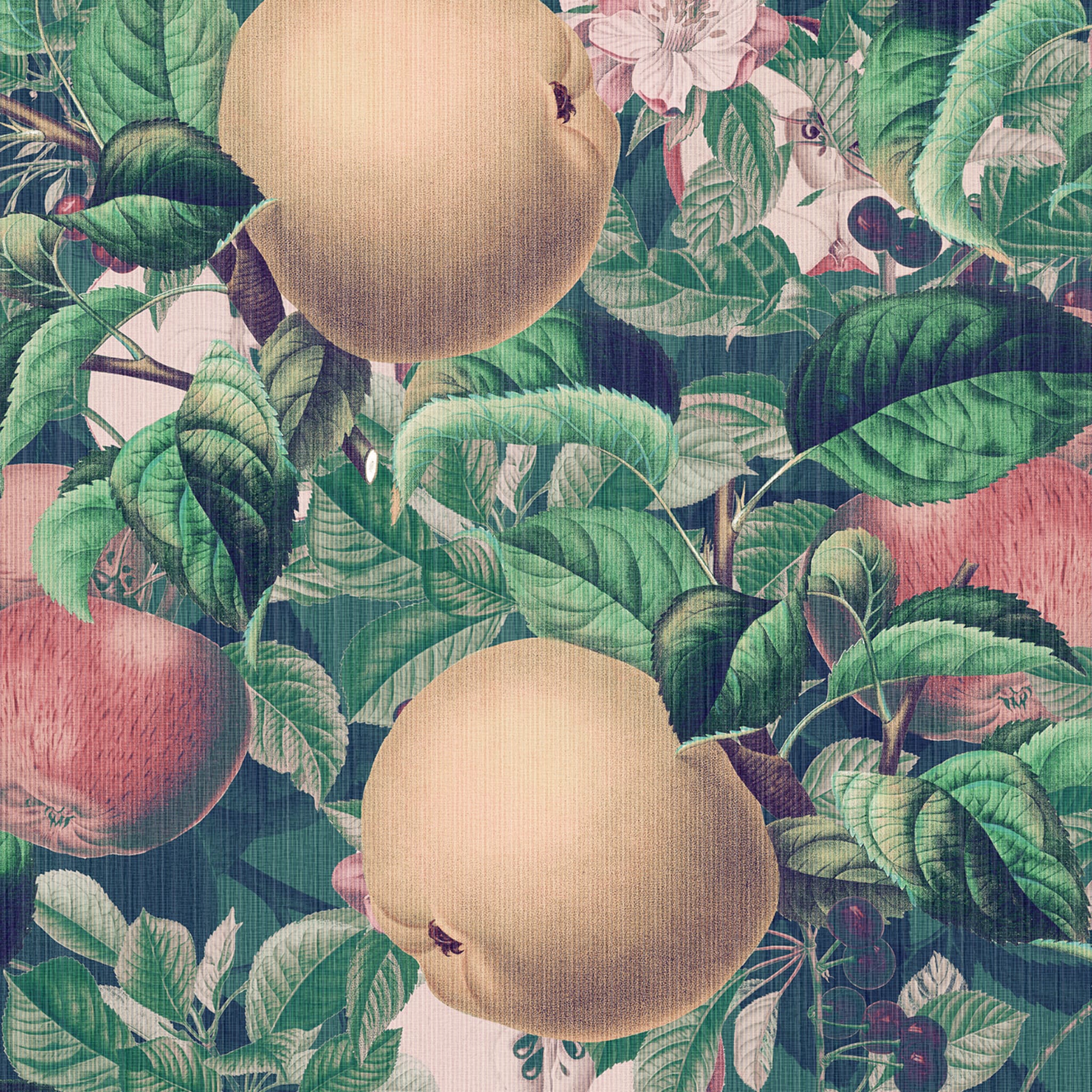 Giant Apple Wallpaper by Vzn Studio #2 - Alternative view 1
