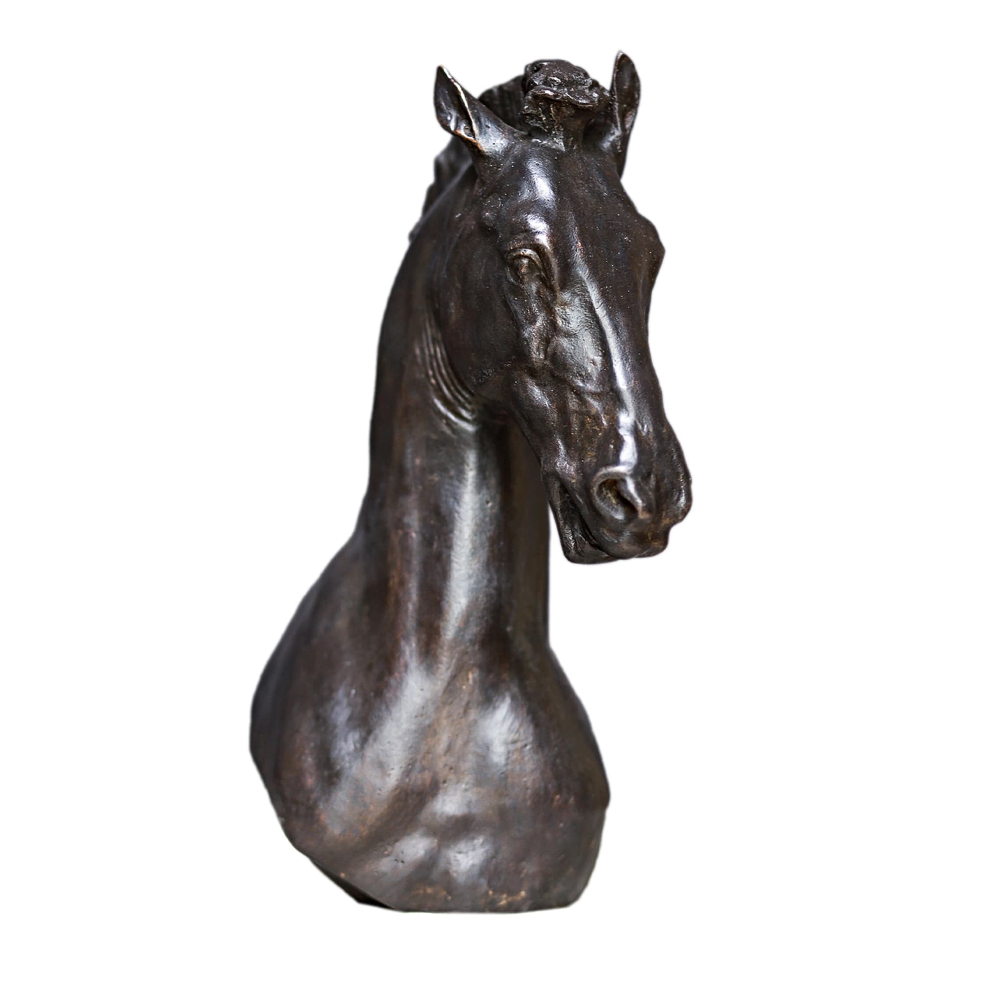 Pferdekopf-Skulptur - Hauptansicht