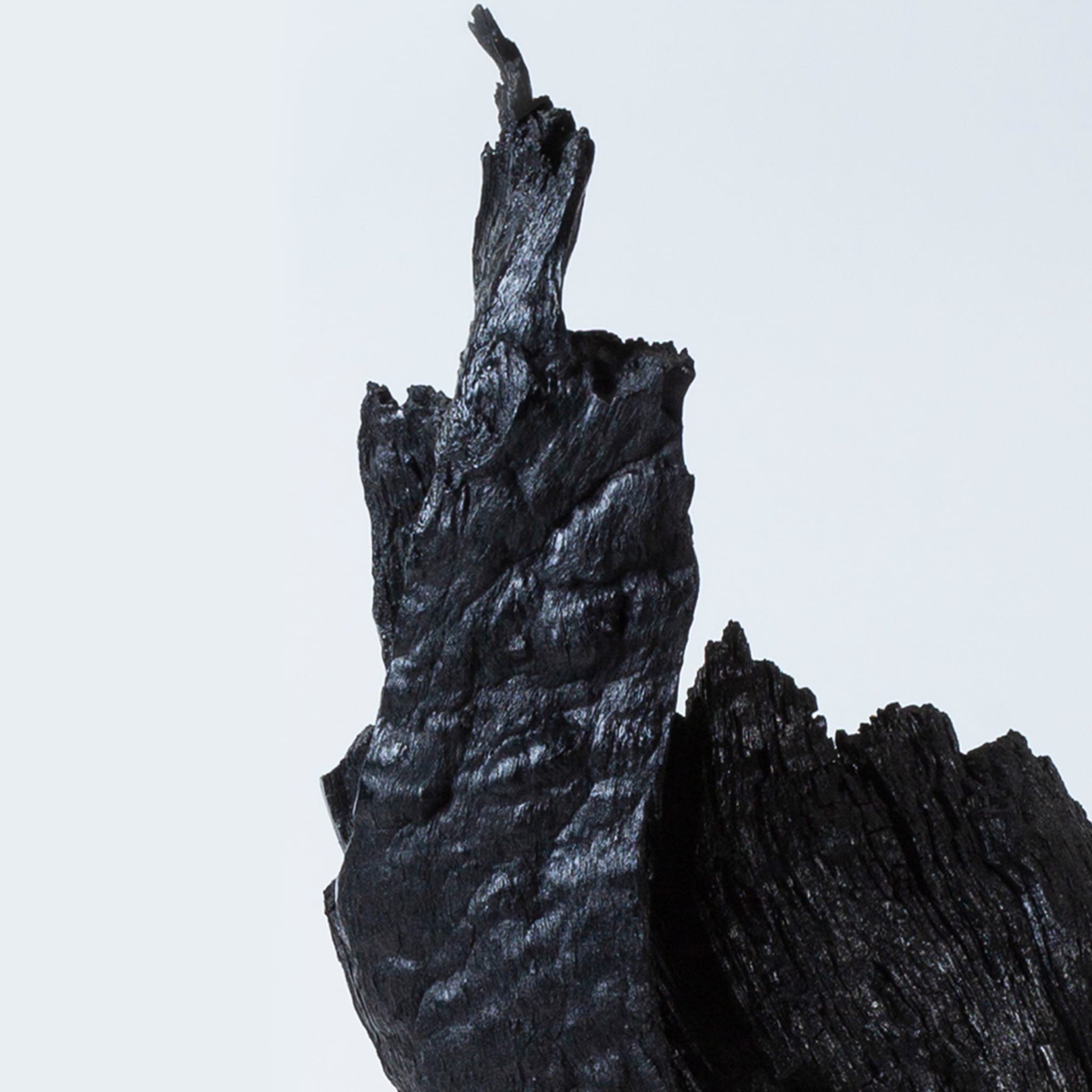 Armis II Black Sculpture - Alternative view 2
