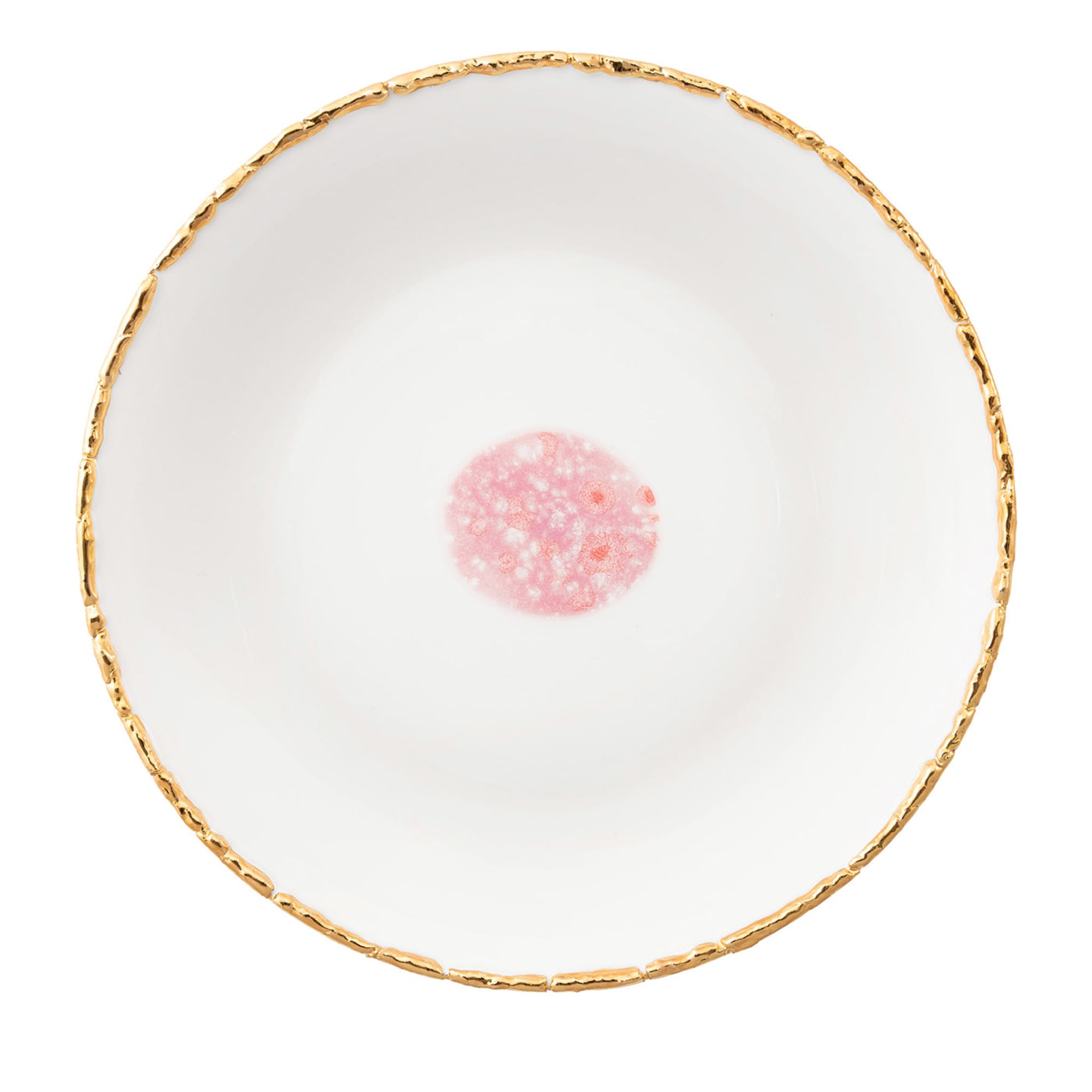 Berry Set of 2 Dinner Plates with Crackled Rim - Main view