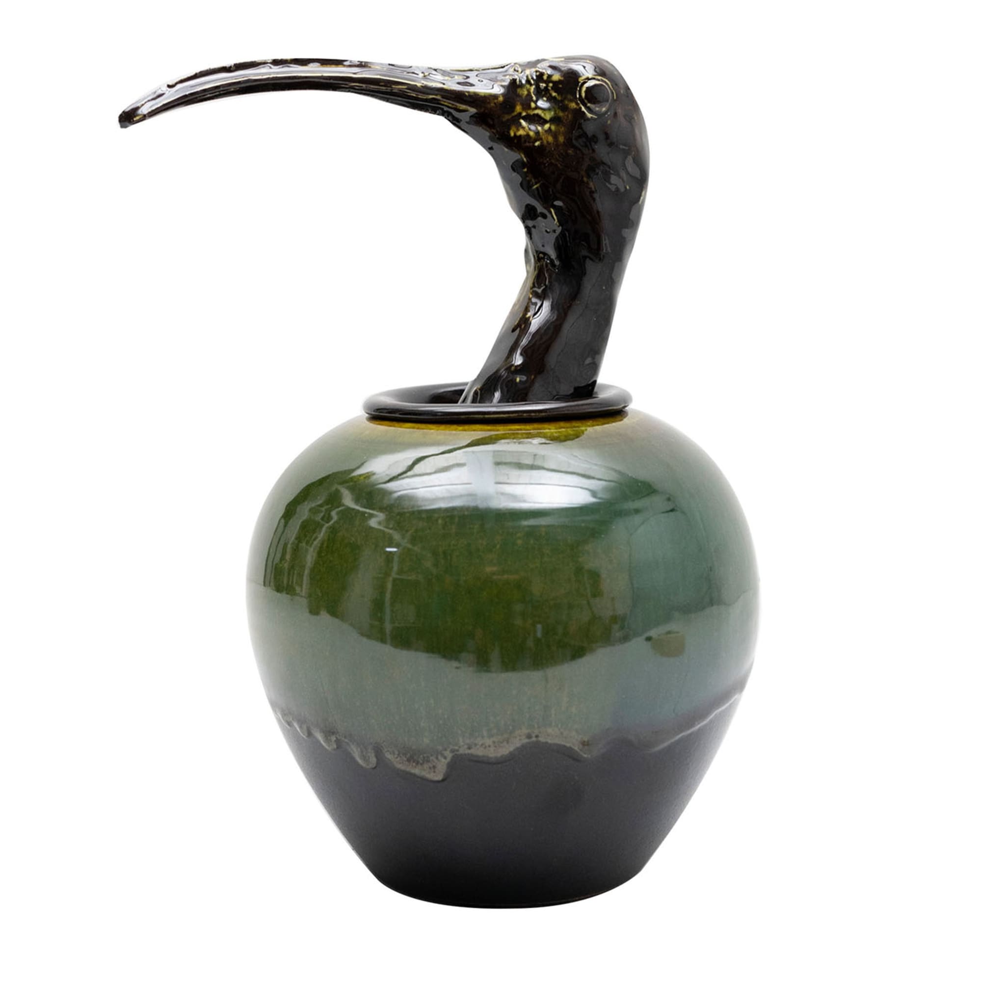 Canopo Ibis Vase noir et vert - Vue principale