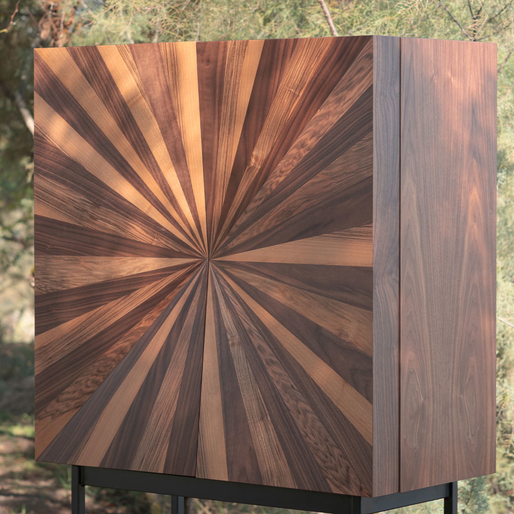 Veneered Wood Cabinet - Alternative view 3