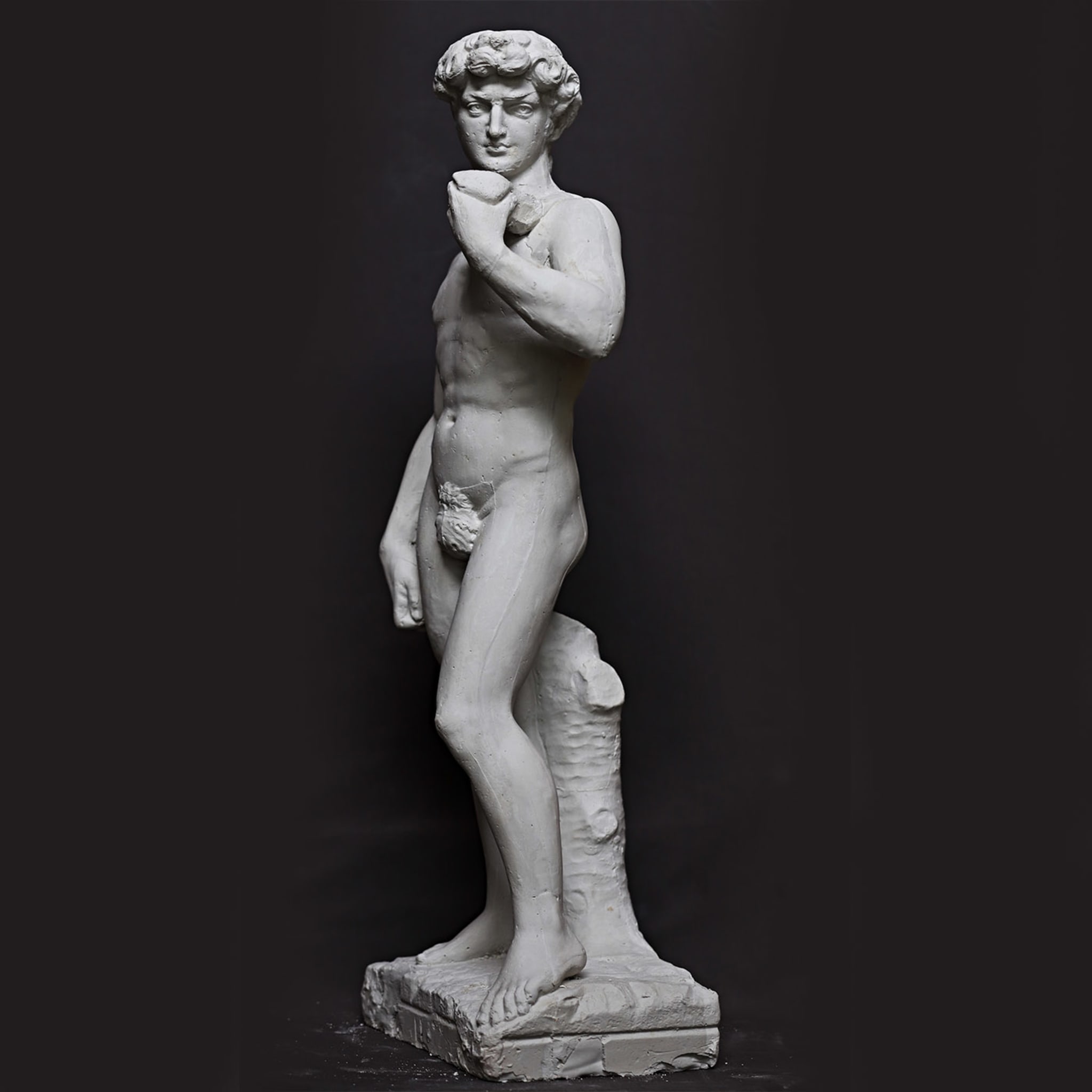 David Di Michelangelo Sculpture - Alternative view 4