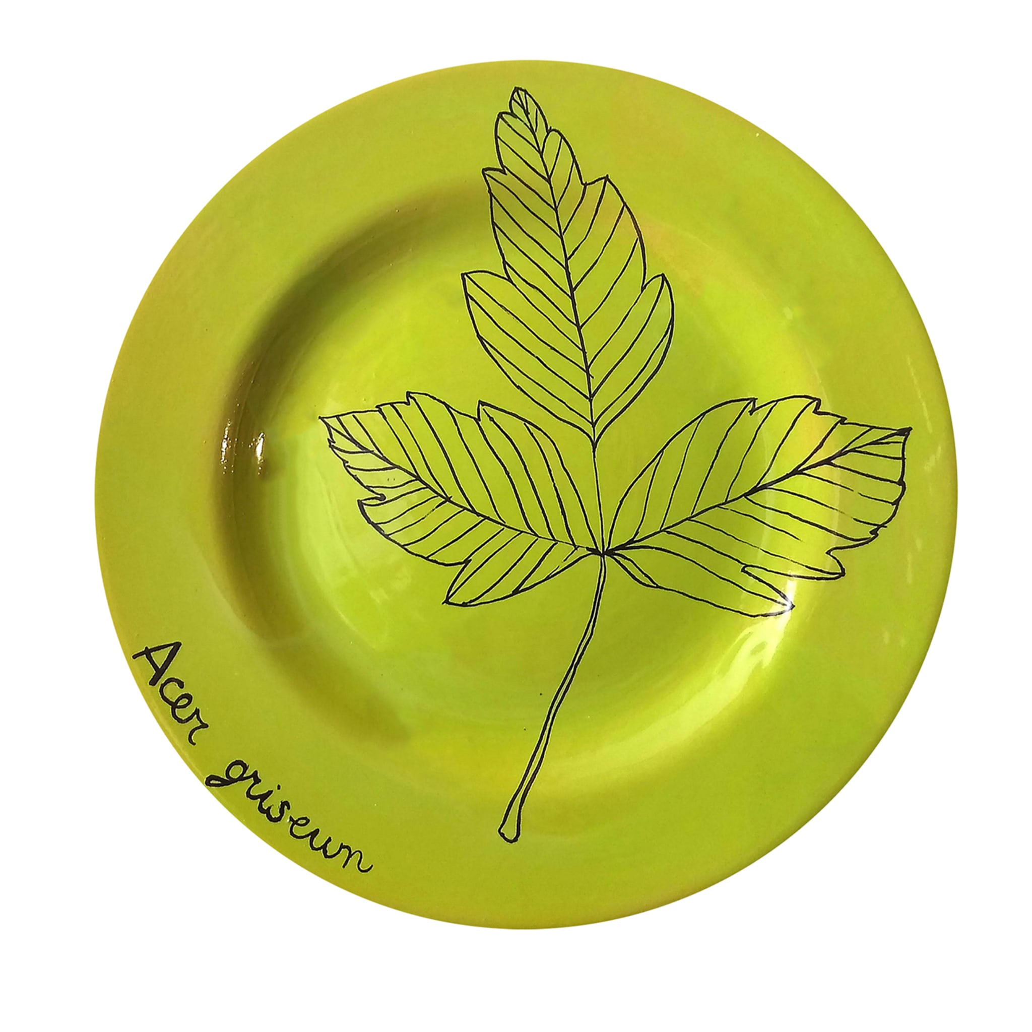 Plaque décorative Acer Griseum - Vue principale