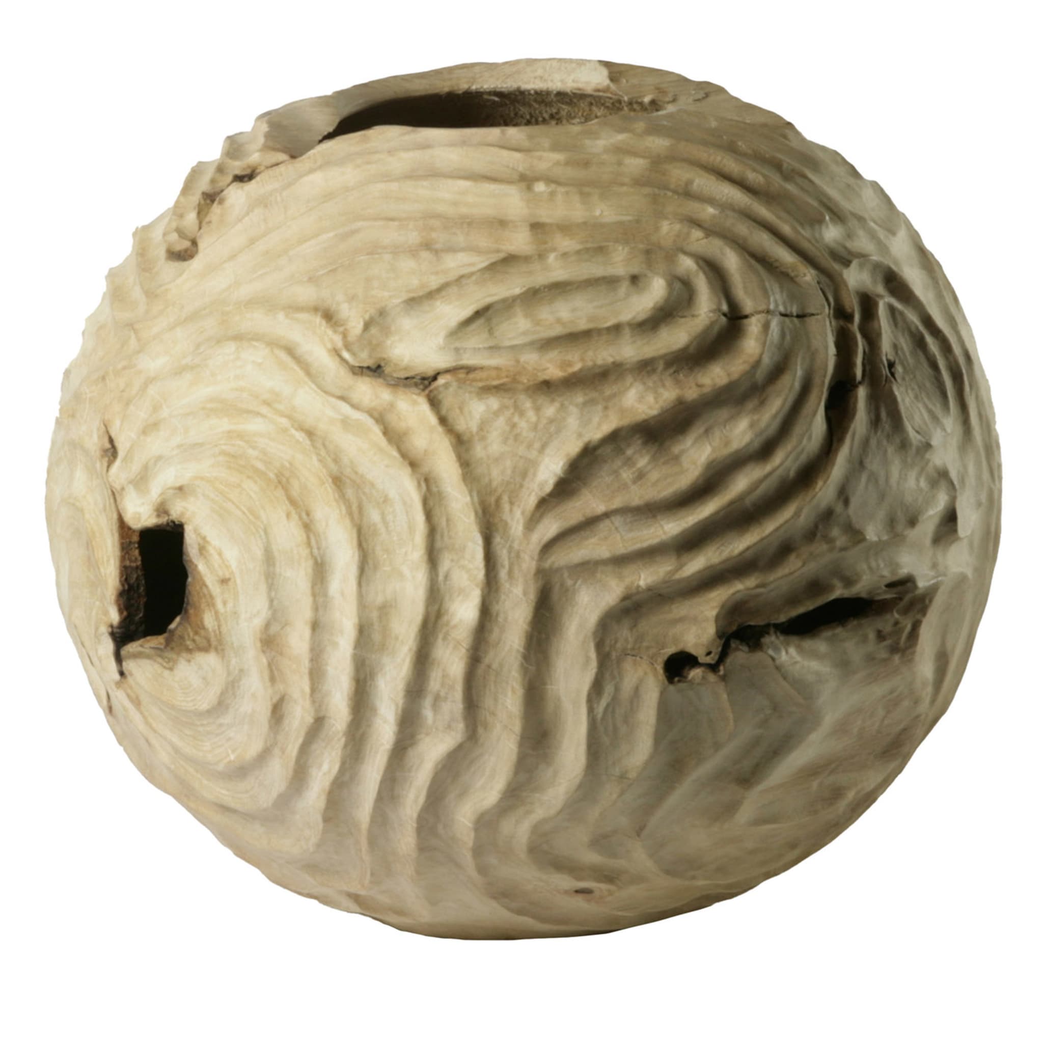 Escultura esférica de carpe de doble filo con forma hueca - Vista principal