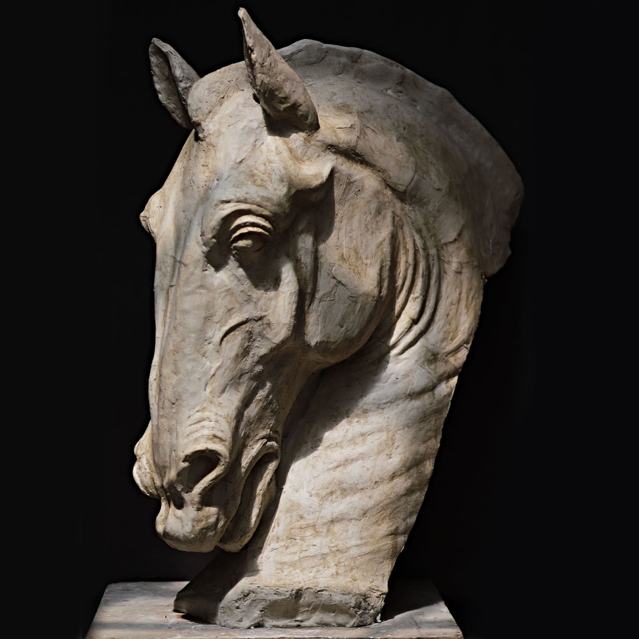 Horse's Head Sculpture - Alternative view 2