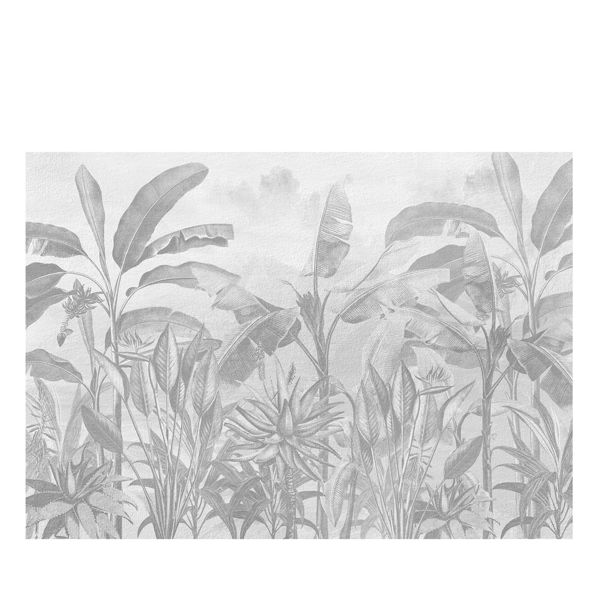 Papel pintado con textura de plantas en blanco y negro - Vista principal