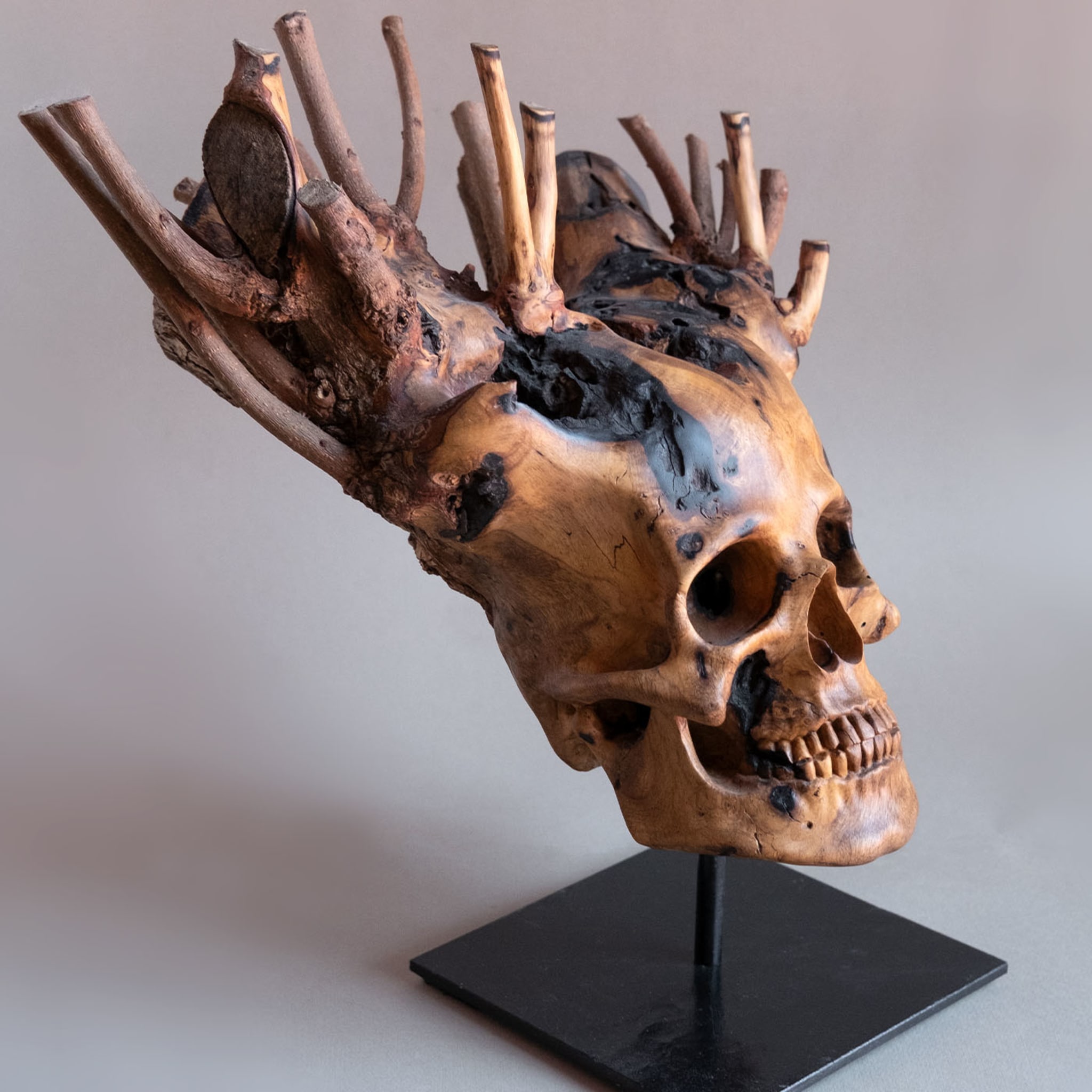 Branched Skull sculpture - Alternative view 1