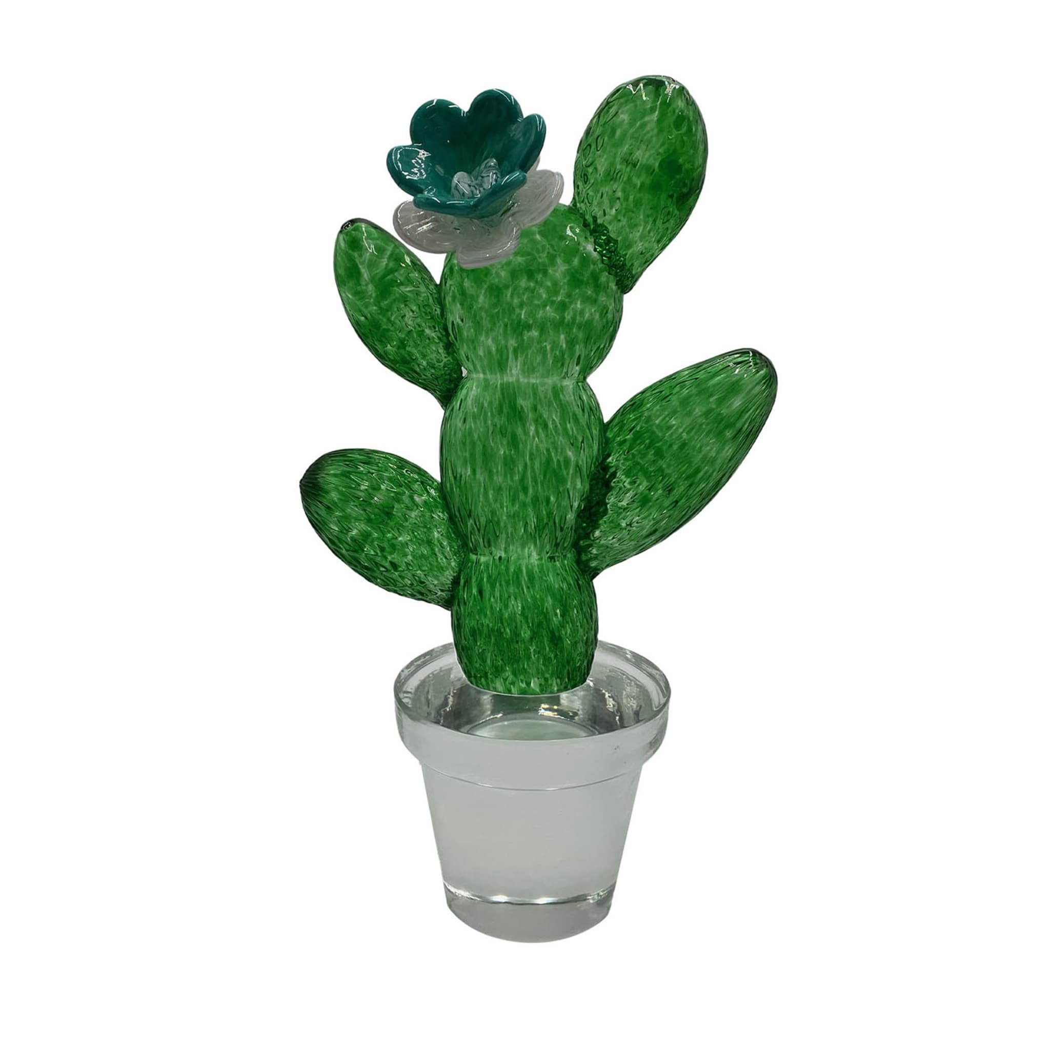Cactus en verre avec fleur bleue  - Vue principale