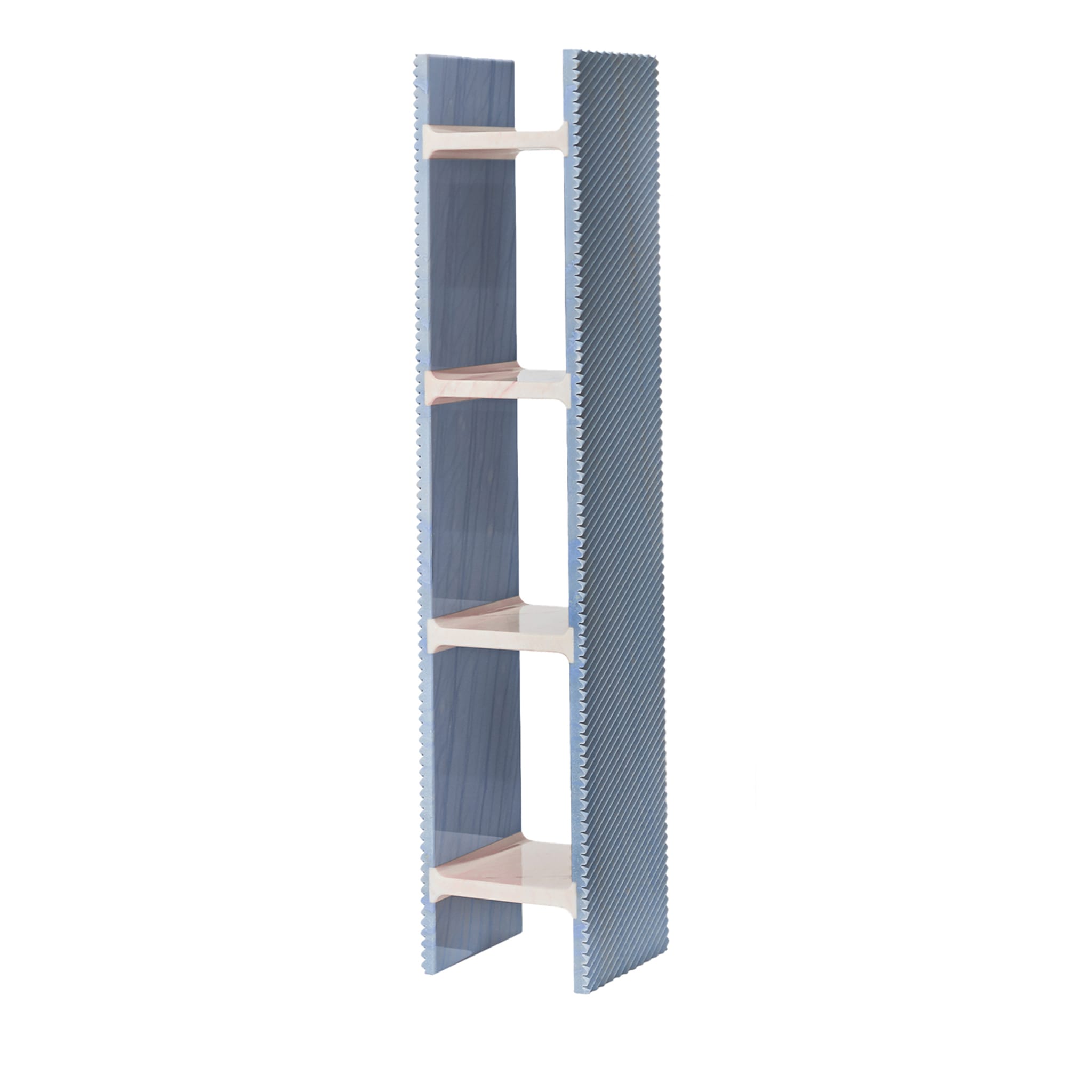 Rabbet Bookcase Display #2 by Patricia Urquiola - Main view
