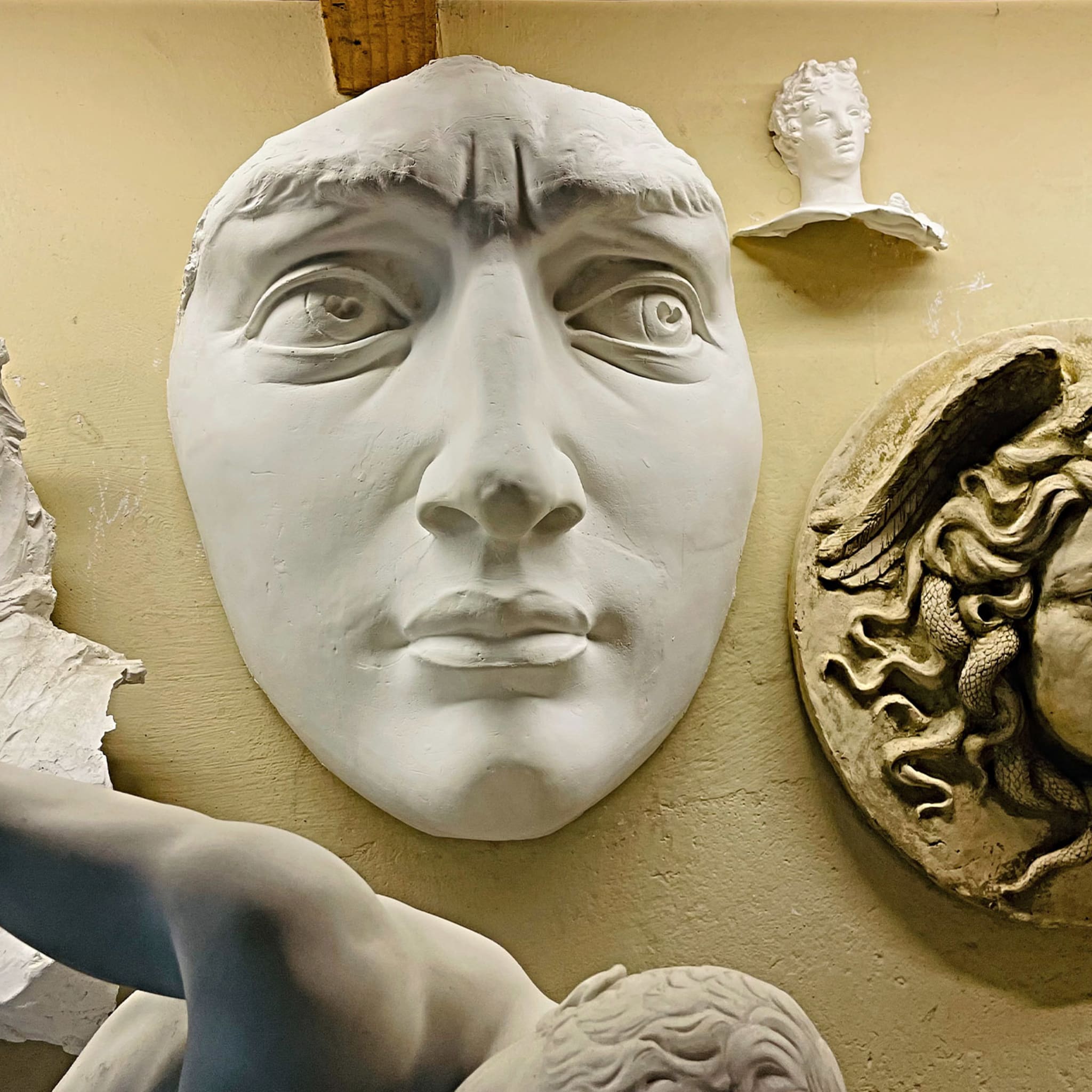Michelangelo's David's Plaster Head - Alternative view 1