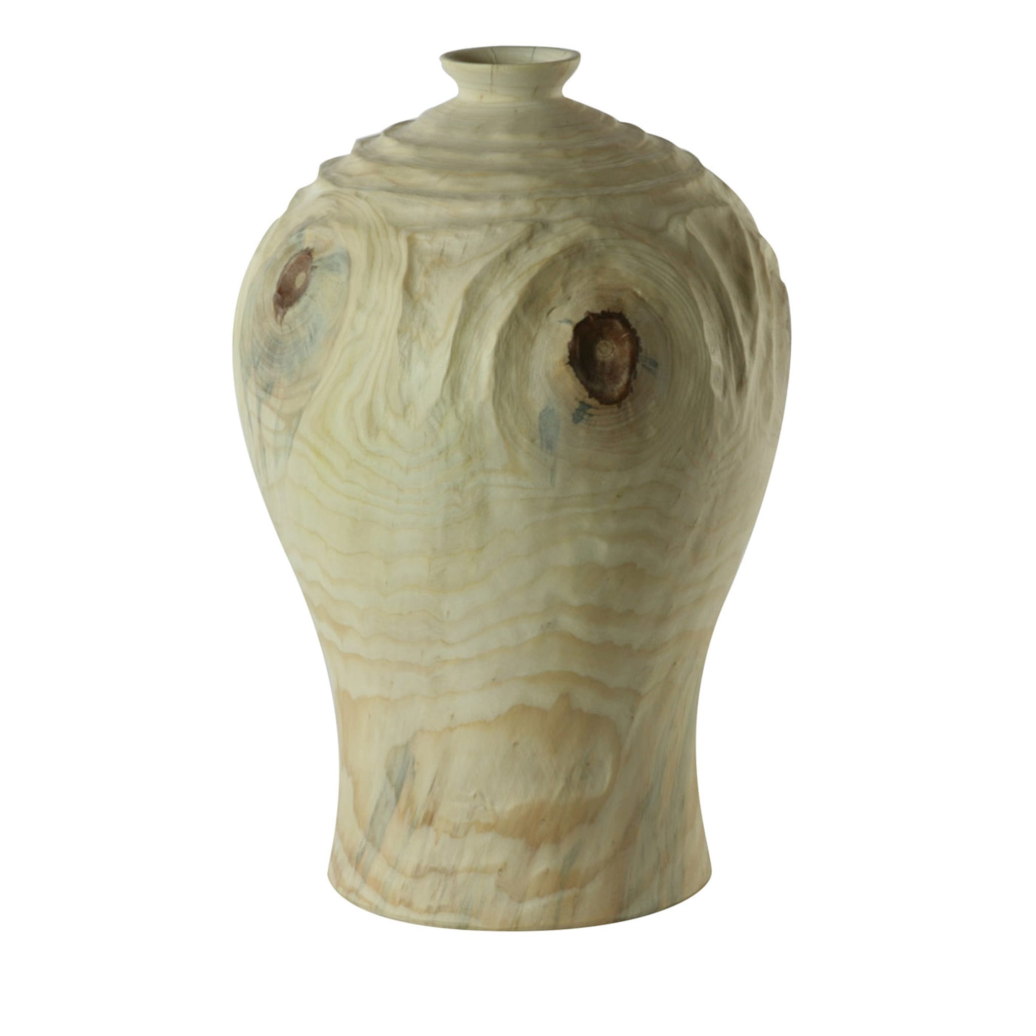 Groove FTG Korean-Style Araucaria Vase - Main view