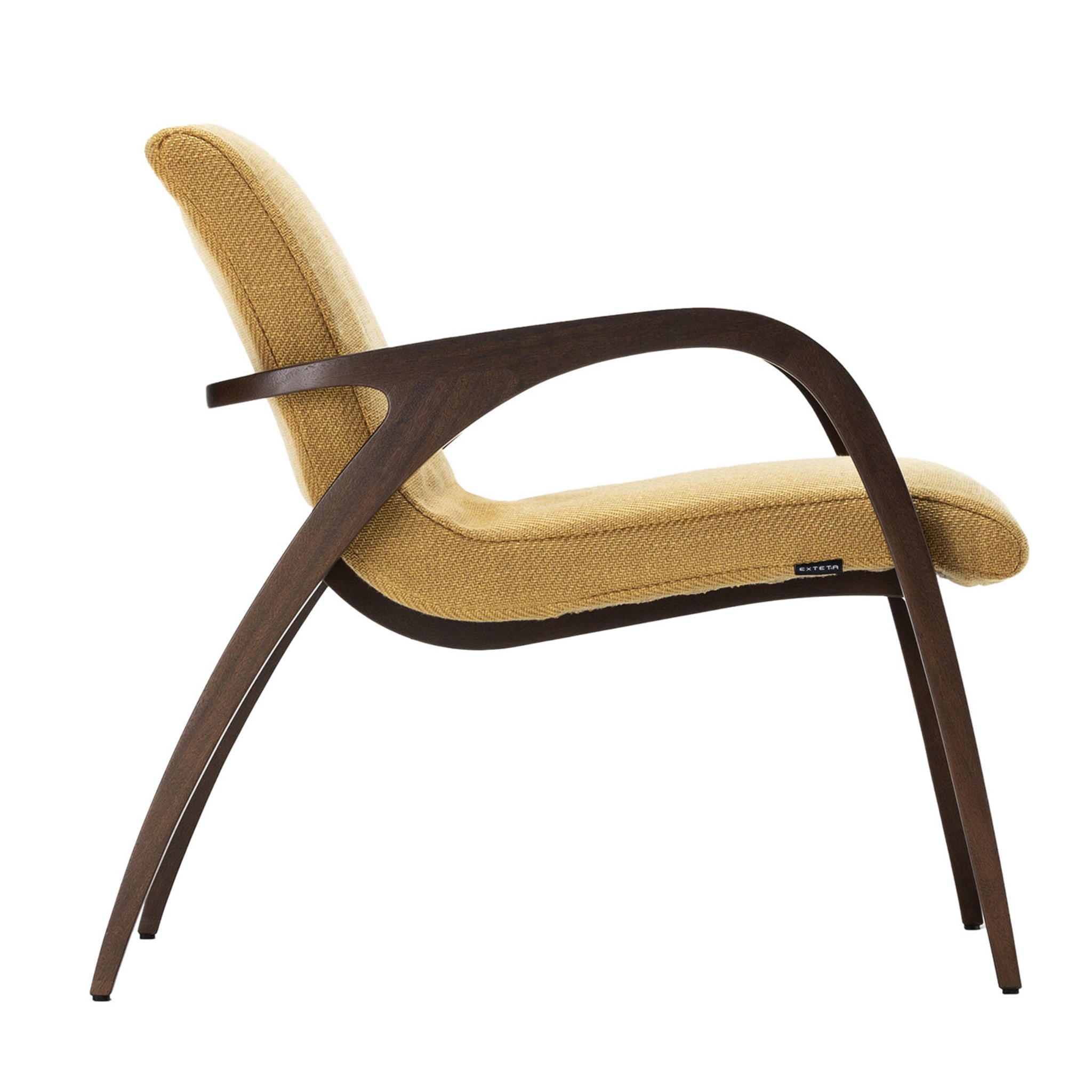 1938 Ginger & Brown Armchair by Franco Albini - Main view